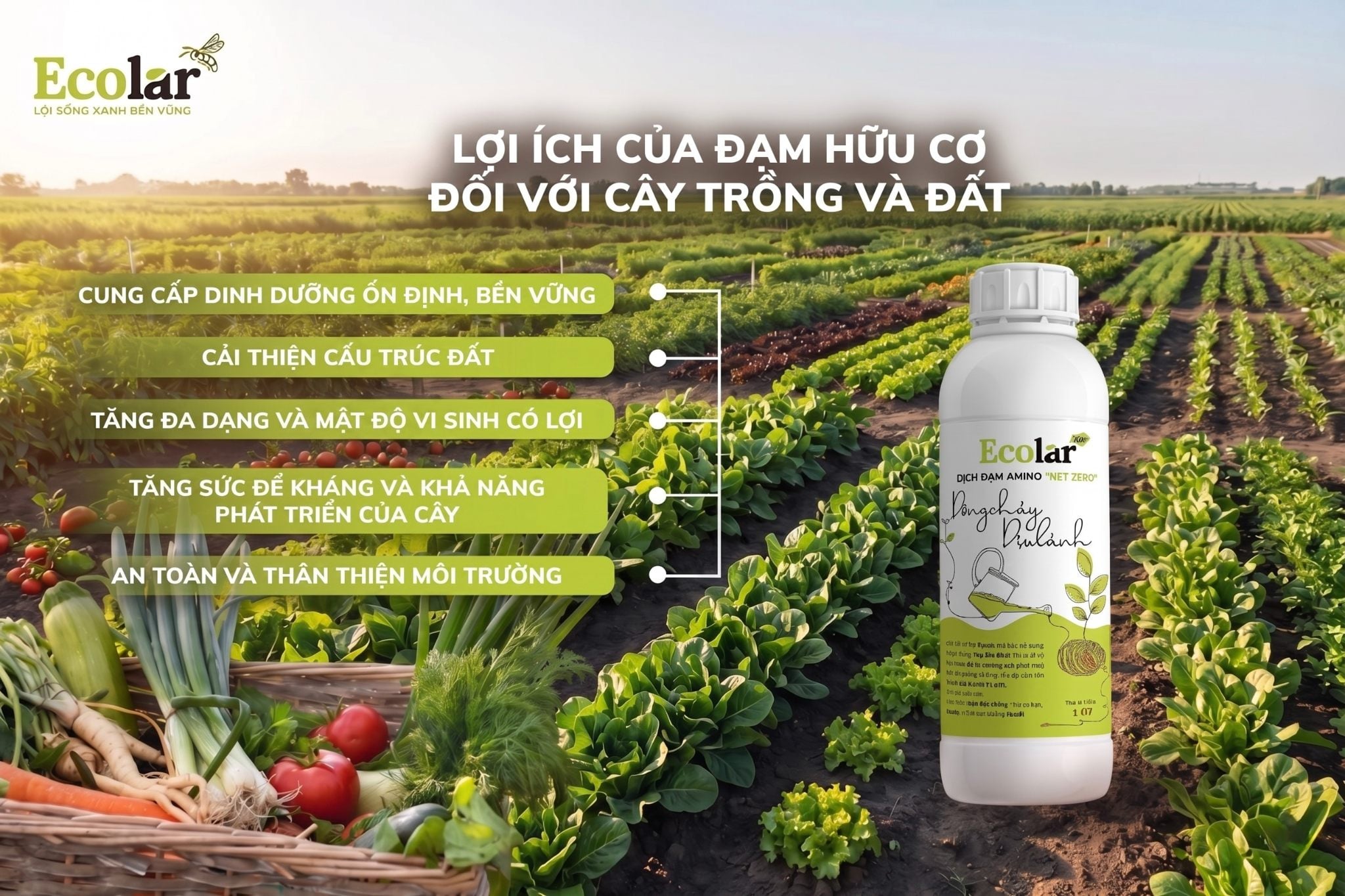 Tại Sao Phân Hữu Cơ Là 'Thức Ăn Vàng' Cho Cây Cảnh Trong Nhà?
