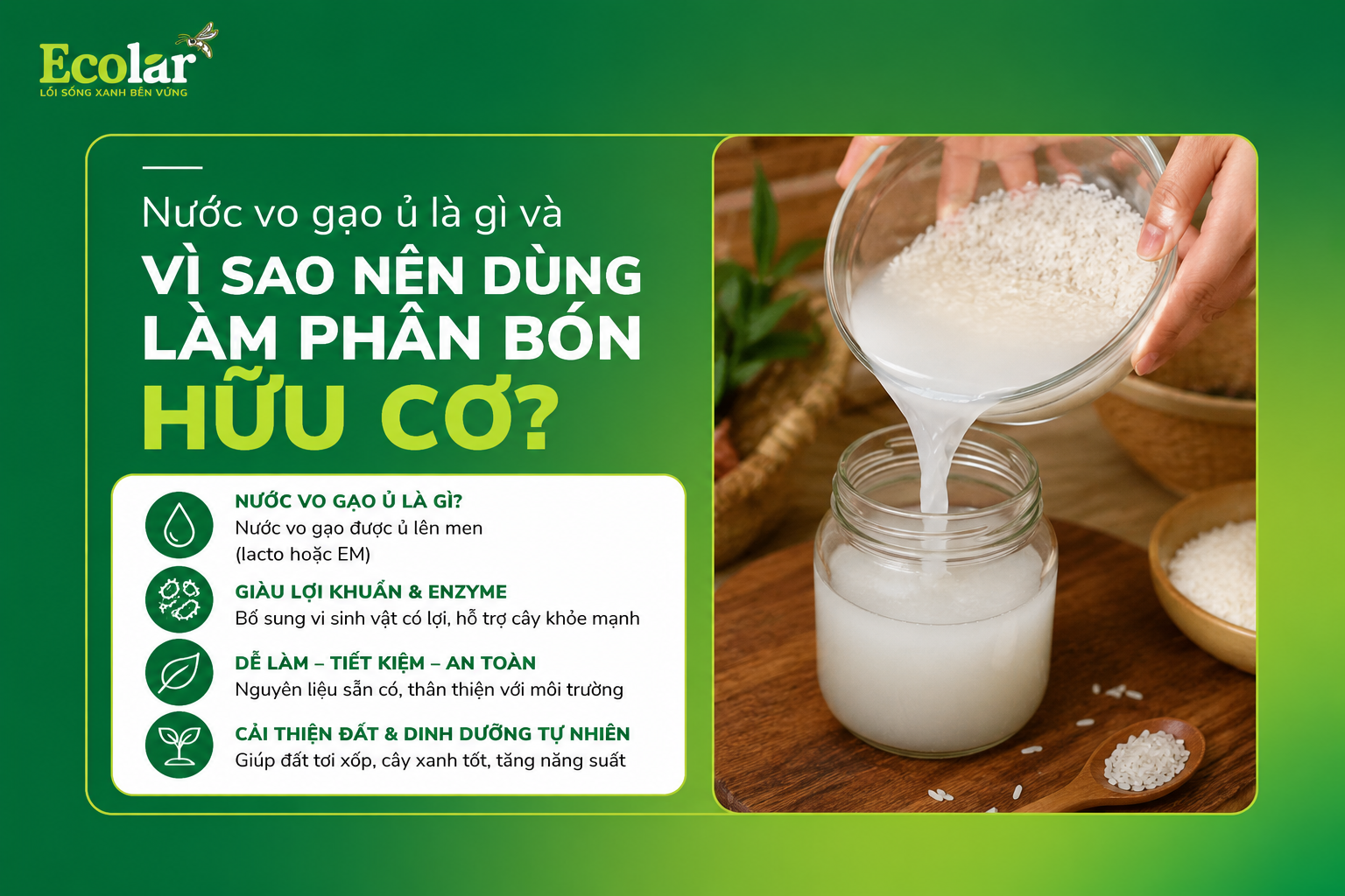 Nước vo gạo ủ là gì và vì sao nên dùng làm phân bón hữu cơ?
