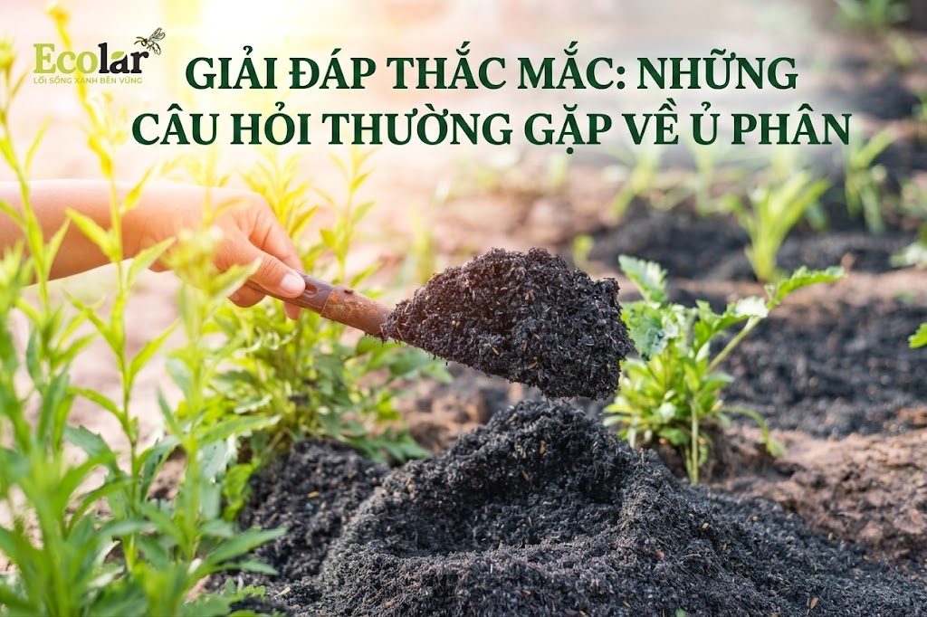 Giải Đáp Thắc Mắc: Những Câu Hỏi Thường Gặp Về Ủ Phân