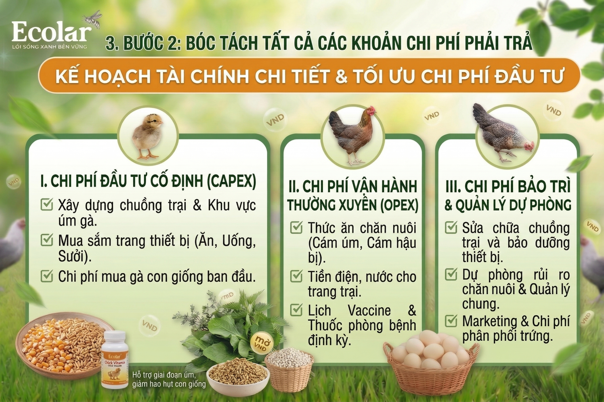 Bóc Tách Tất Cả Các Khoản Chi Phí Phải Trả