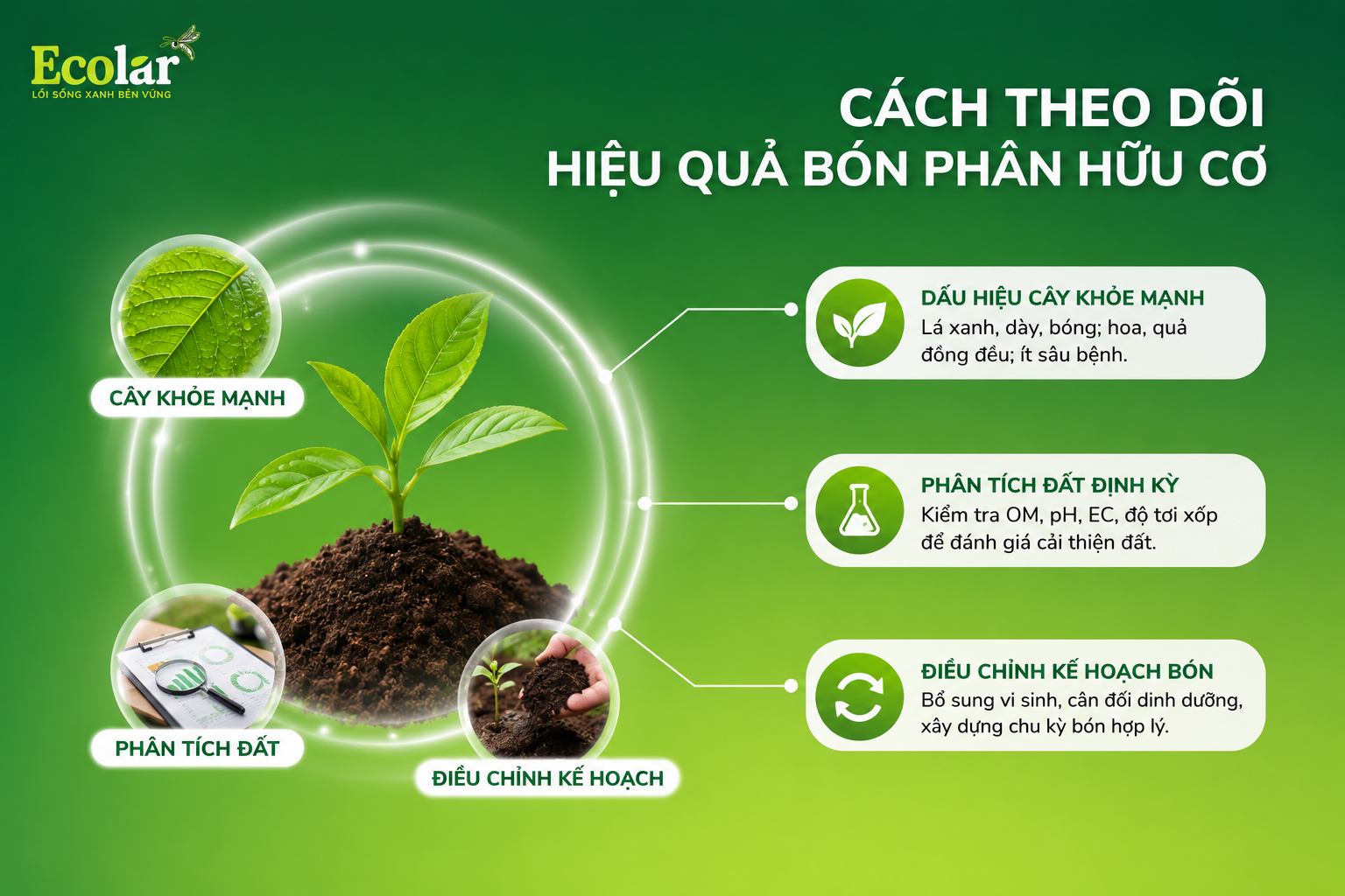 Cách Theo Dõi Hiệu Quả Bón Phân Hữu Cơ