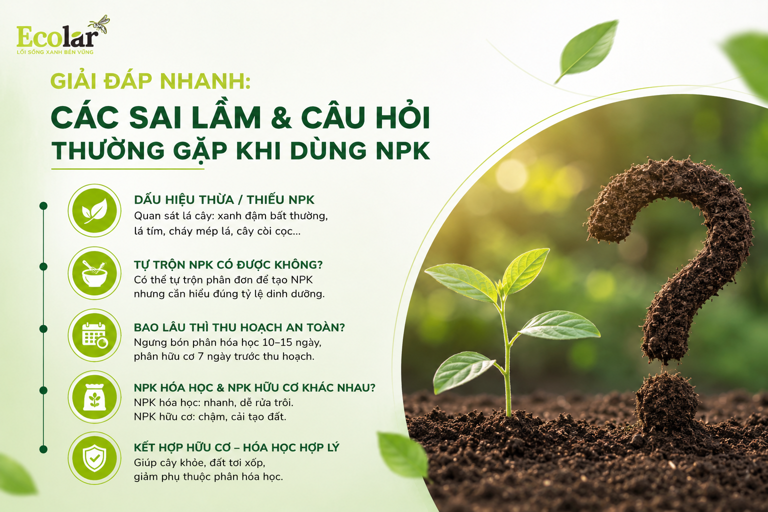 Giải Đáp Nhanh: Các Sai Lầm & Câu Hỏi Thường Gặp Khi Dùng NPK