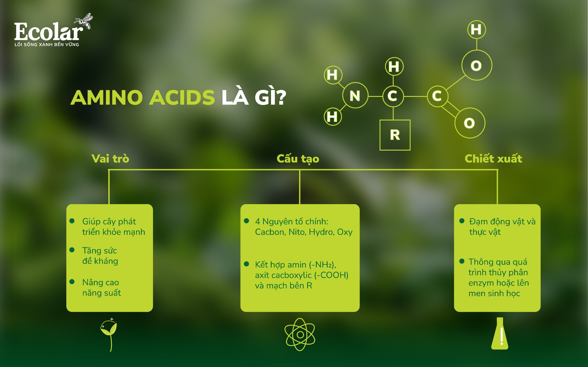 amino-acids-_la-gi_amino-acids-_la-gi_15a16992ba79456c9c673a433d6402a9.jpg