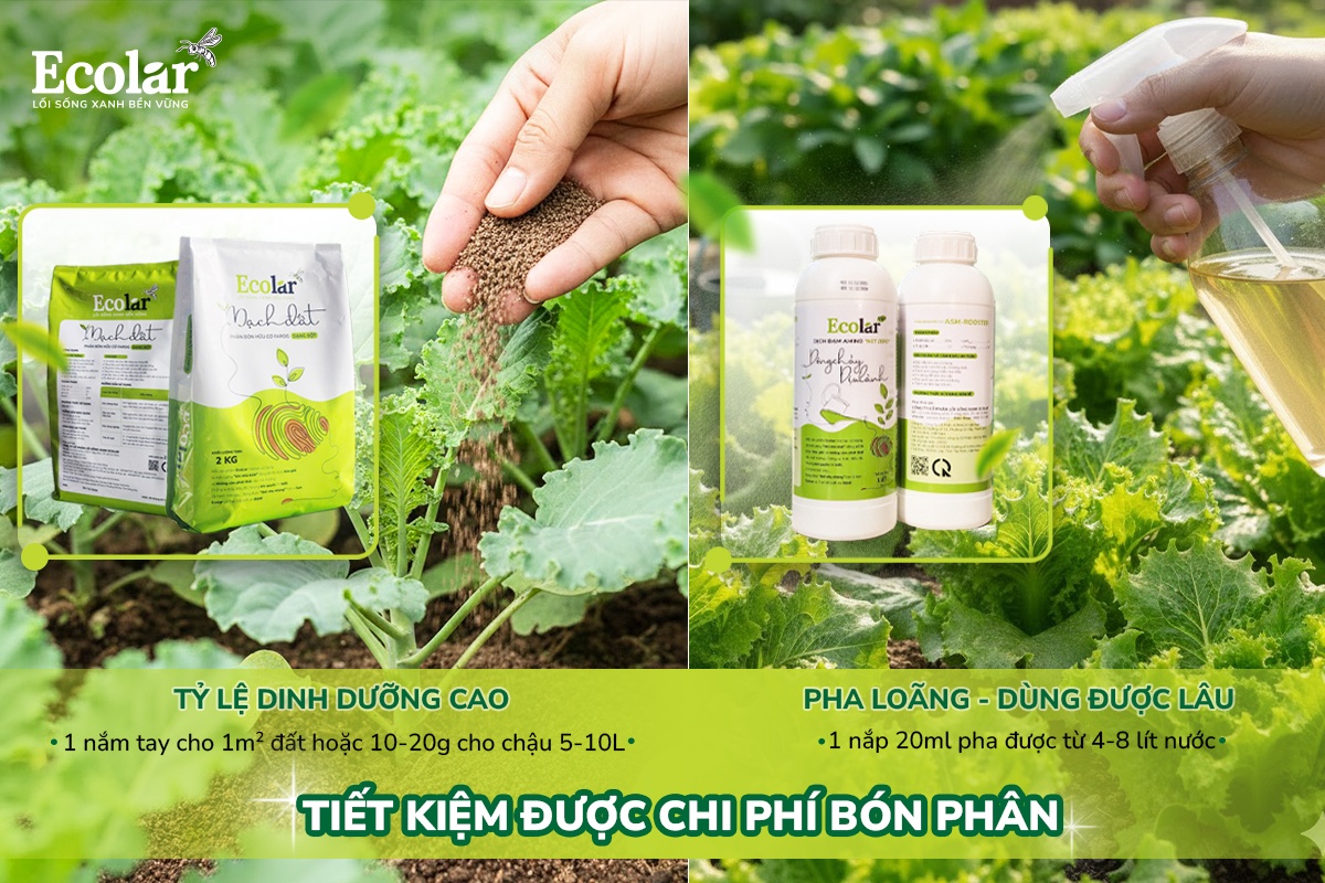 phân bón ecolar
