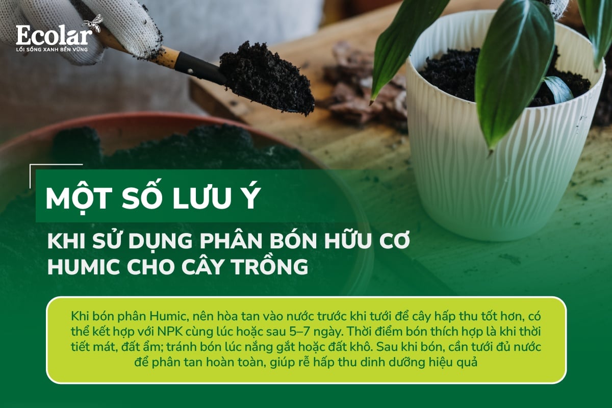 an-bon-huu-co-humic-cho-cay-trong-100_5d47f6d22b3b4b03a1e8b7a30231b79b.jpg