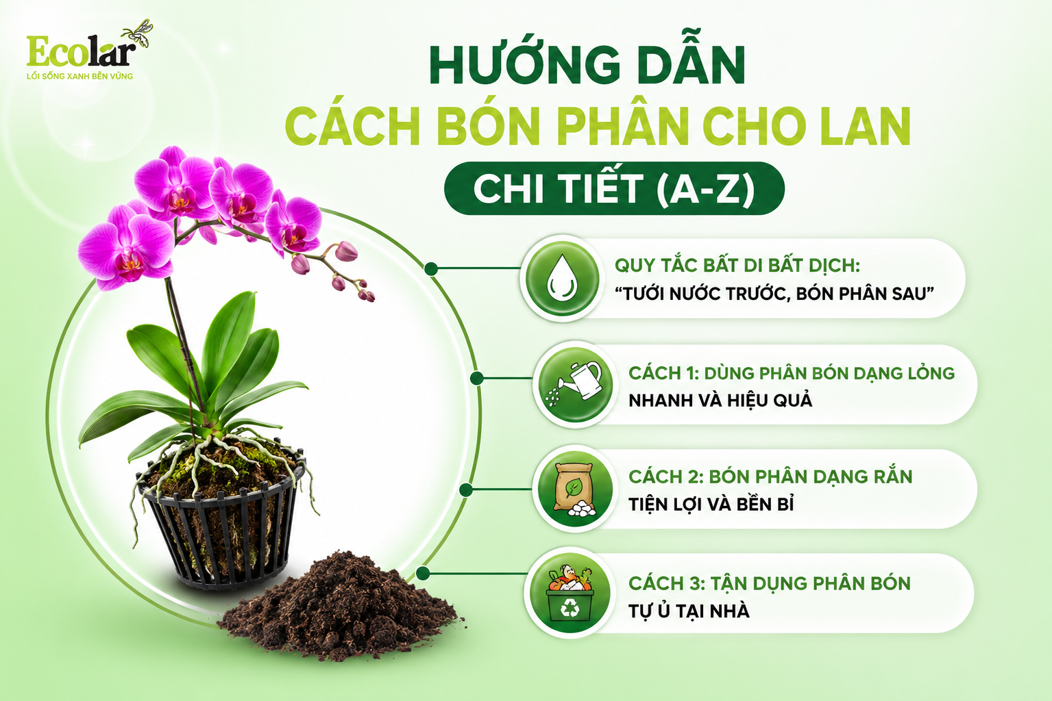 Hướng Dẫn Cách Bón Phân Cho Lan Chi Tiết (A-Z)