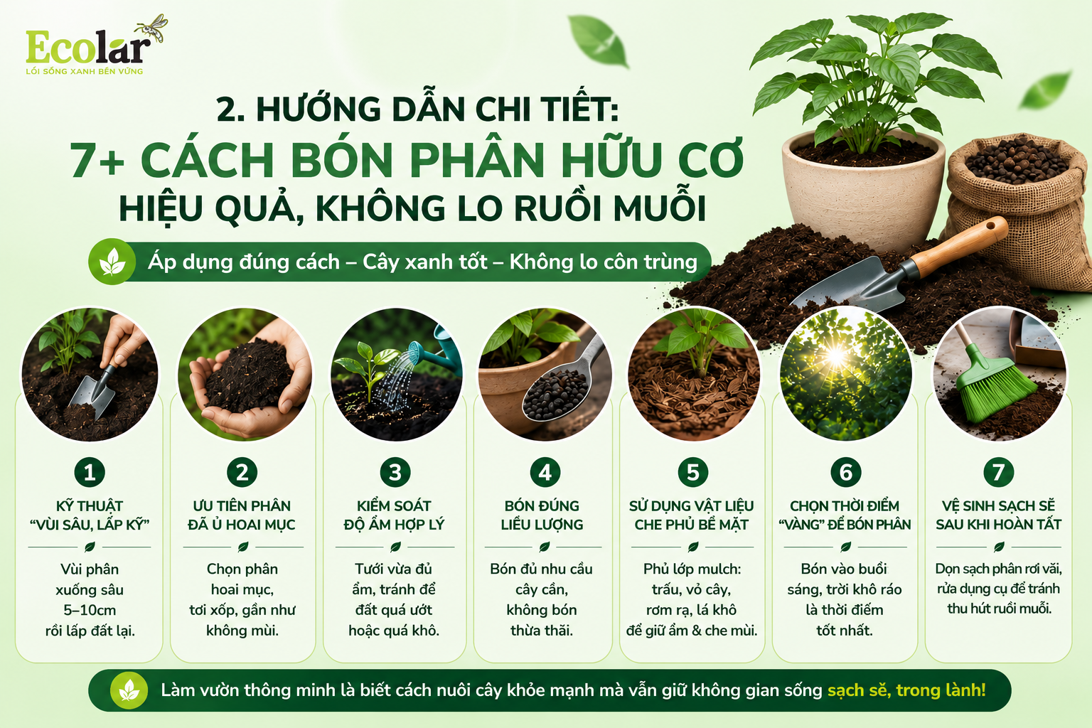 Hướng Dẫn Chi Tiết: 7+ Cách Bón Phân Hữu Cơ Hiệu Quả, Không Lo Ruồi Muỗi