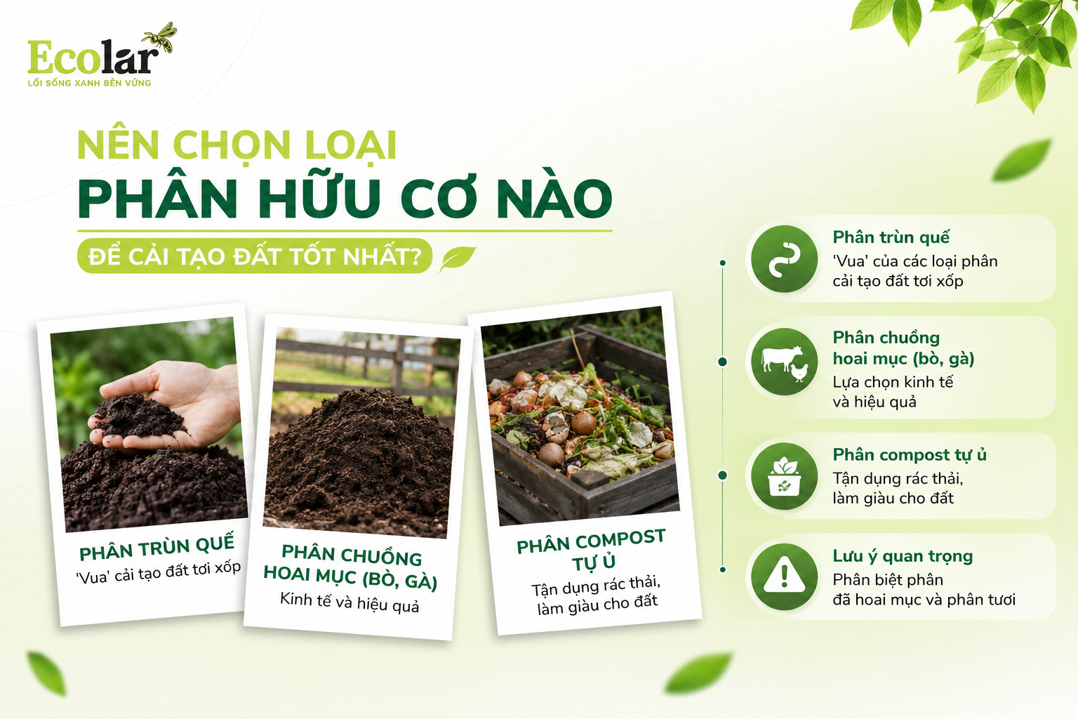 Nên Chọn Loại Phân Hữu Cơ Nào Để Cải Tạo Đất Tốt Nhất?