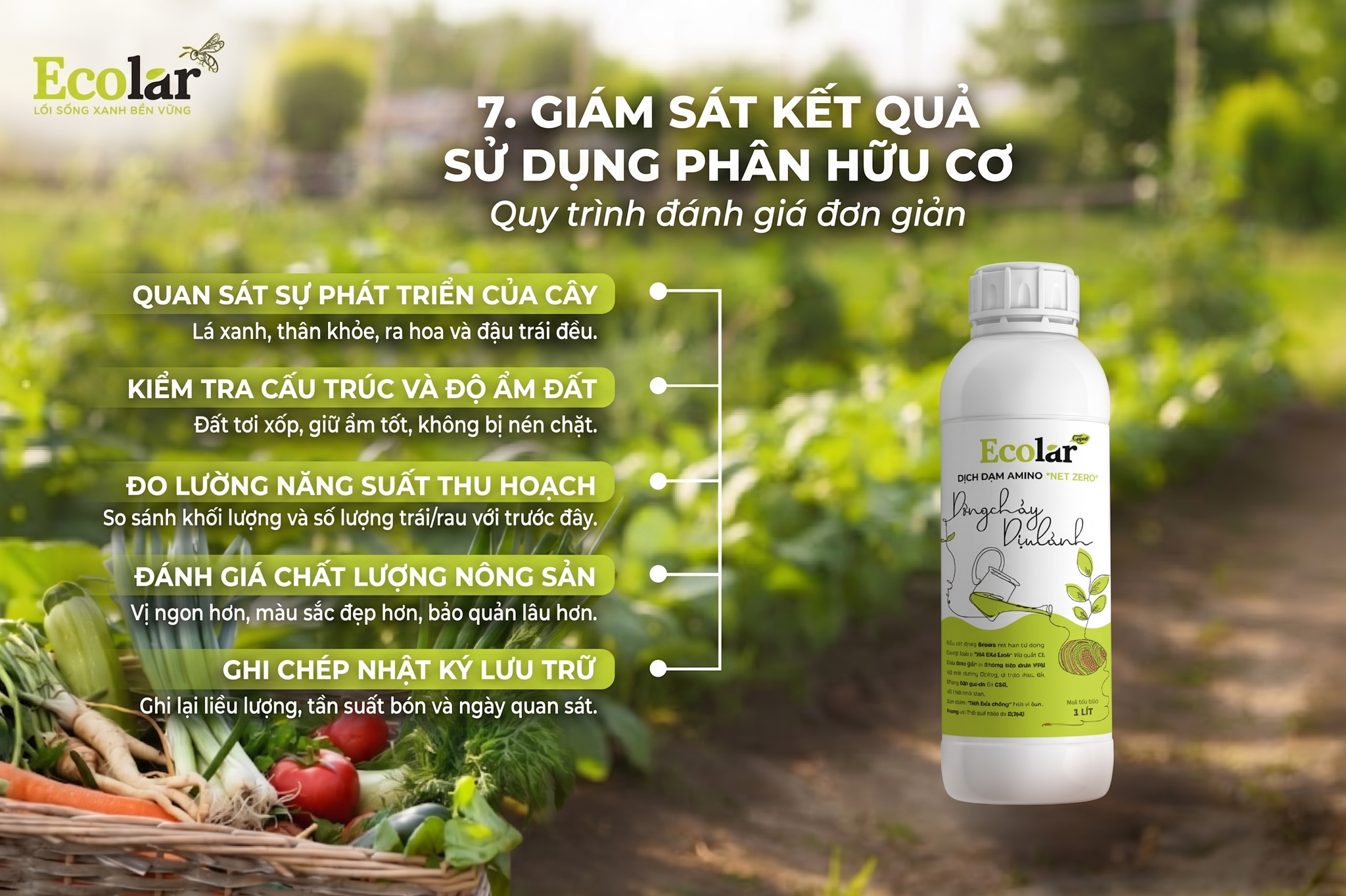 Giám sát kết quả sau khi sử dụng phân hữu cơ — Quy trình đánh giá đơn giản