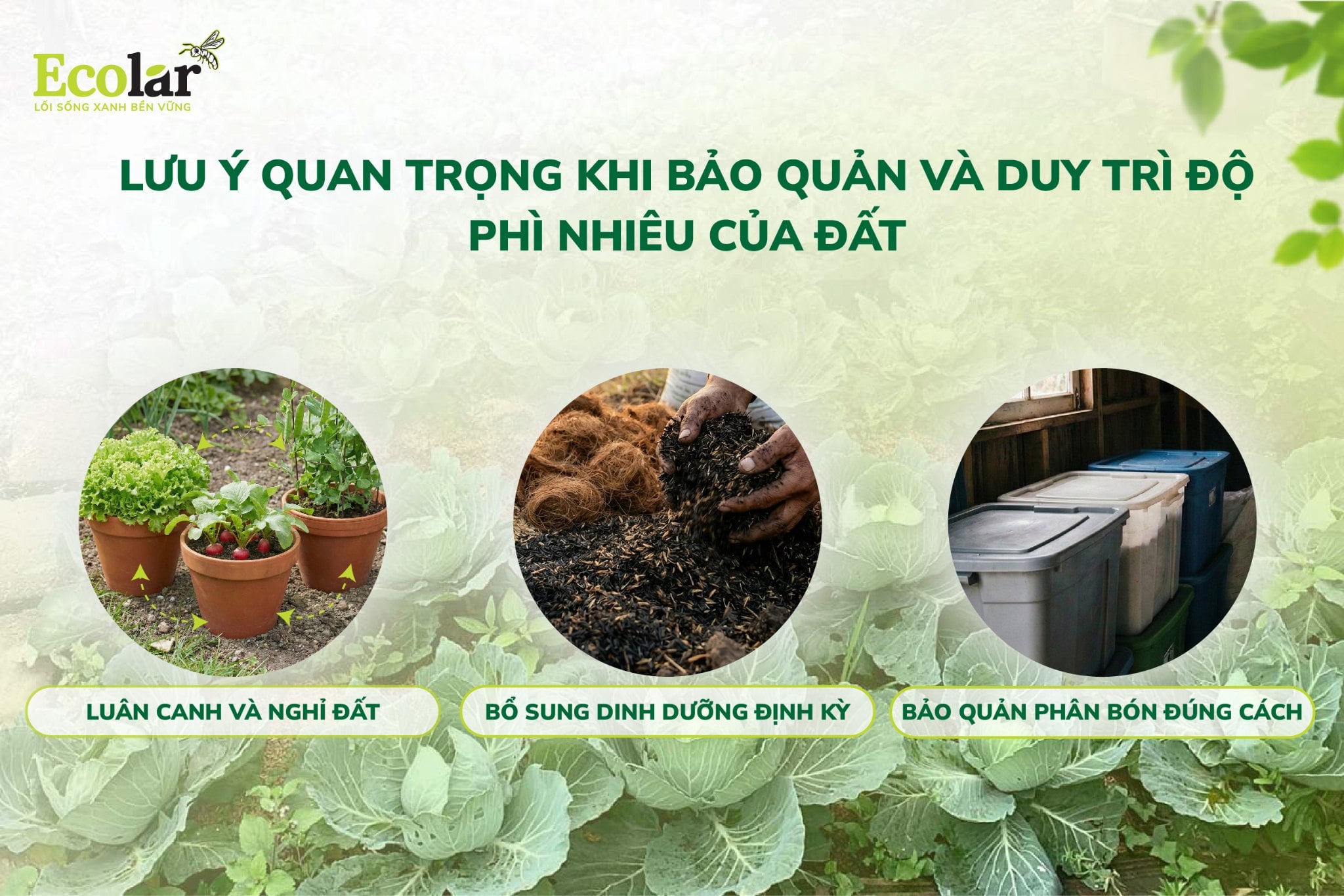 LUU-Y-QUAN-TRONG-KHI-BAO-QUAN-VA-DUY-TRI-DO-PHI-NHIEU-CUA-DAT-04