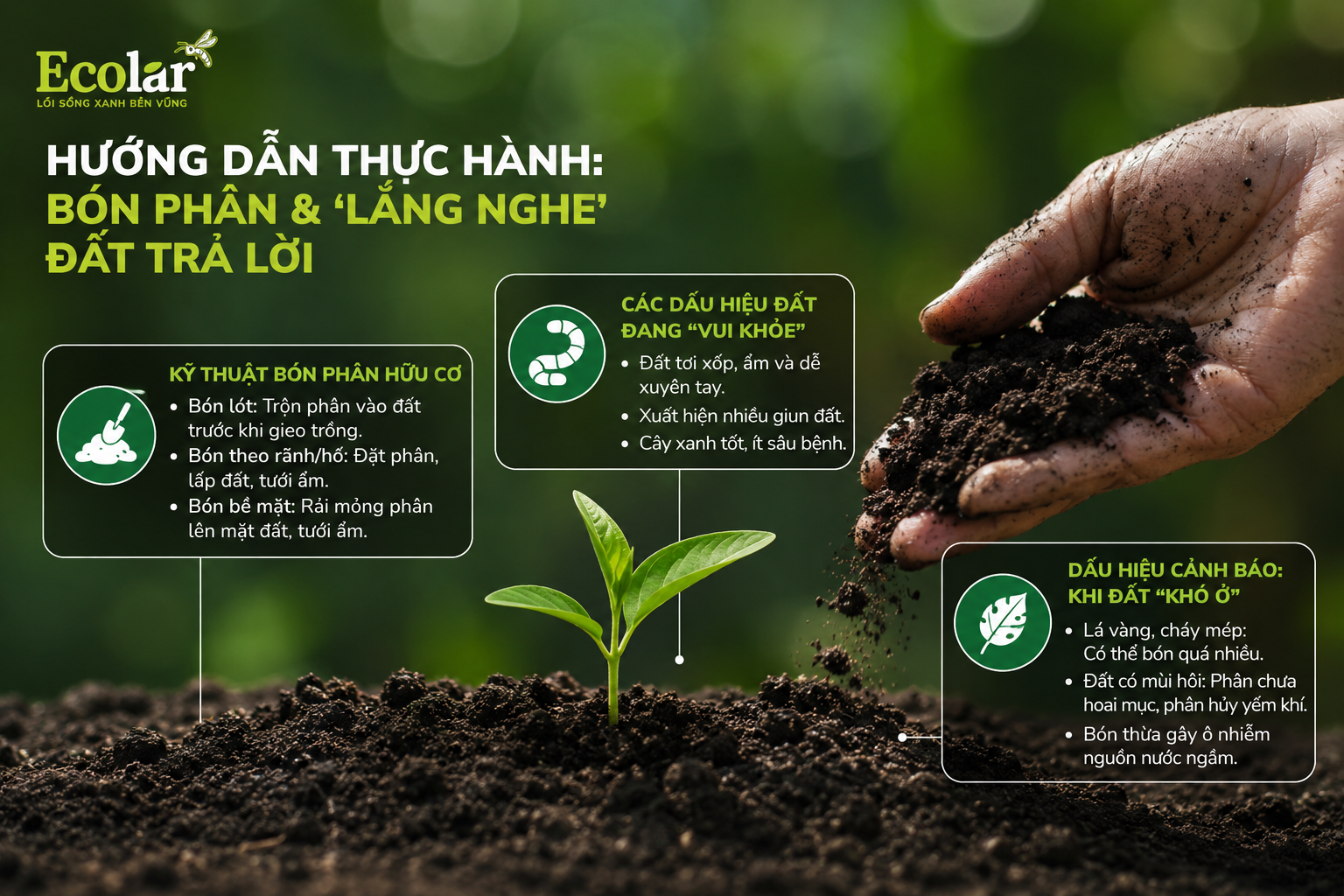 Hướng Dẫn Thực Hành: Bón Phân & 'Lắng Nghe' Đất Trả Lời