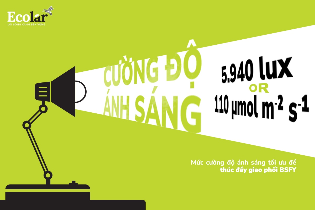 muc-cuong-do-anh-sang-toi-uu-de-thuc-day-giao-phoi