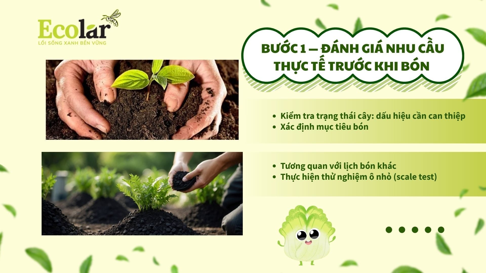 Bước 1 — Đánh giá nhu cầu thực tế trước khi bón