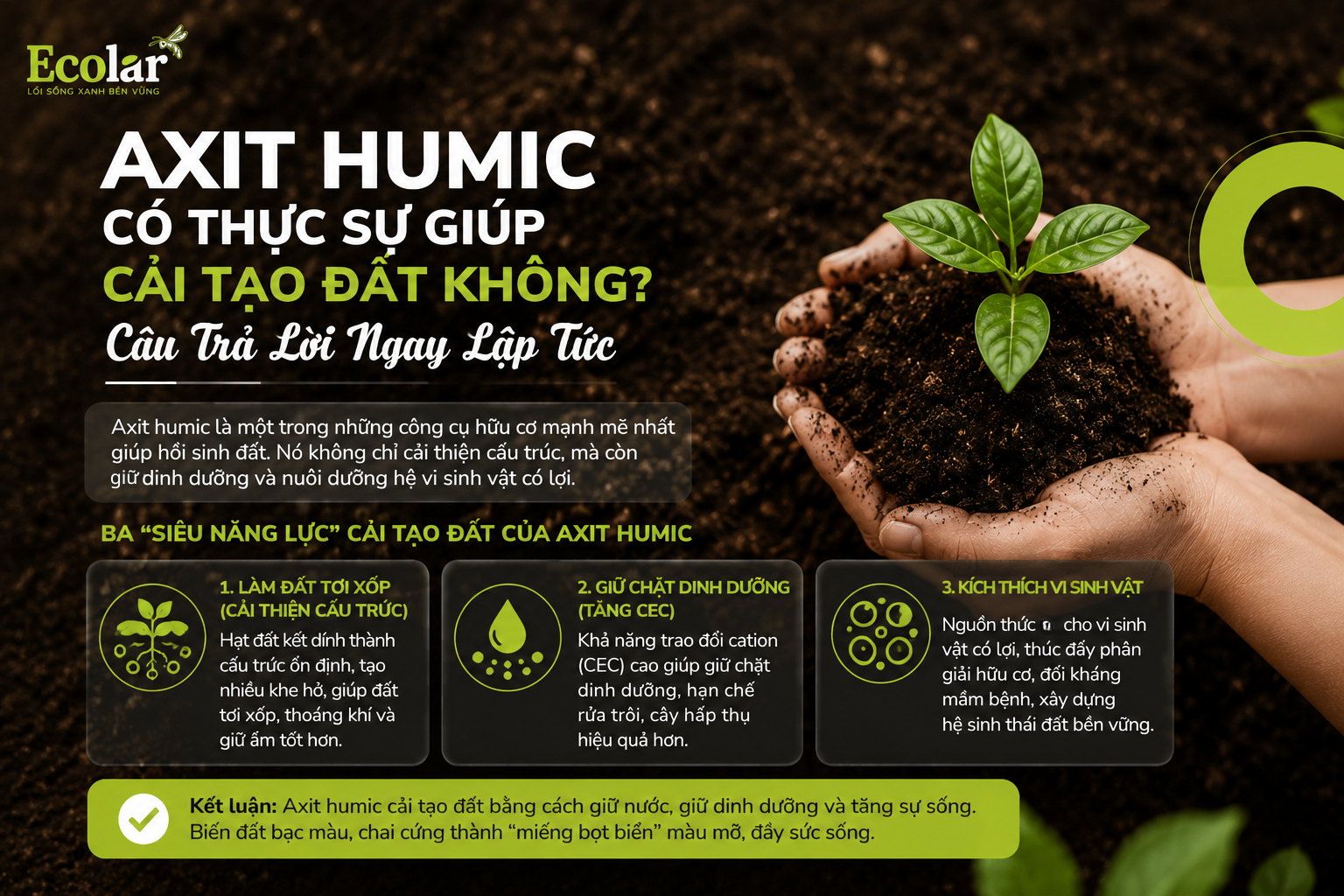 Axit Humic Có Thực Sự Giúp Cải Tạo Đất Không? Câu Trả Lời Ngay Lập Tức