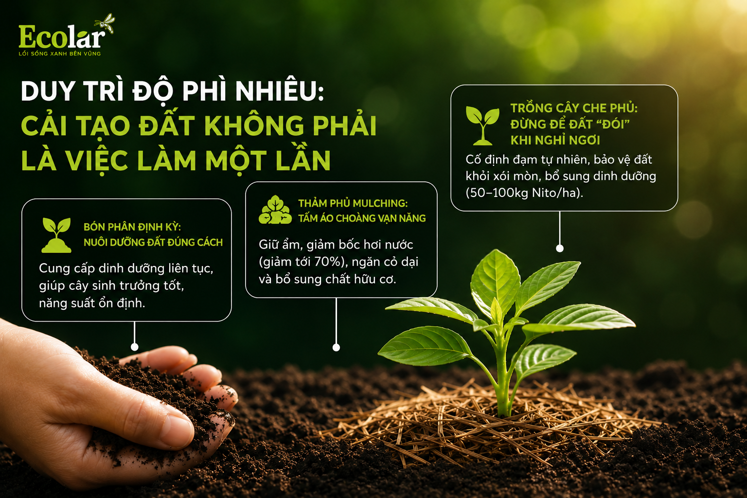 Duy Trì Độ Phì Nhiêu: Cải Tạo Đất Không Phải Là Việc Làm Một Lần