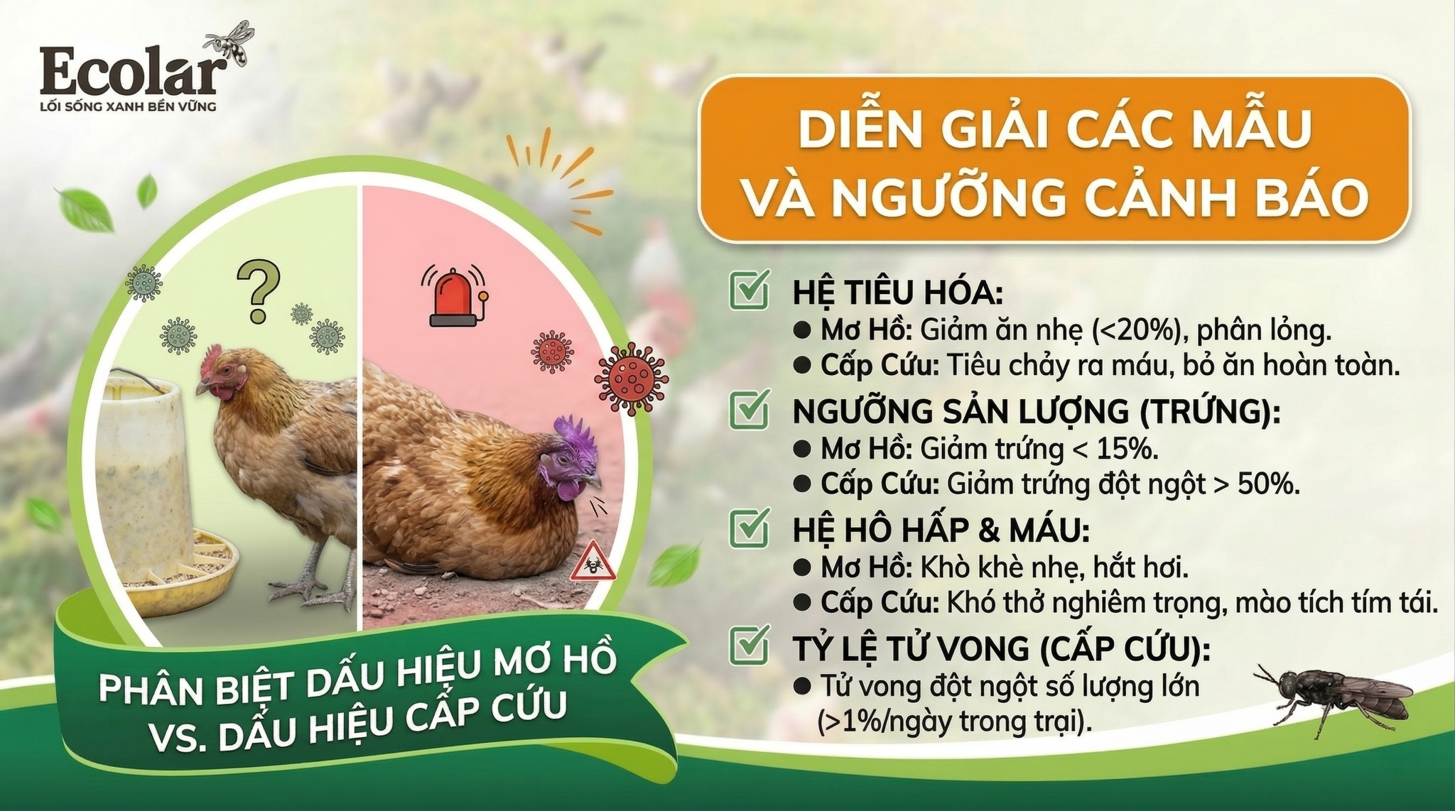 ao-dau-hieu-mo-ho-vs-dau-hieu-cap-cuu_b83168a4b12e4d13bfb2ce1ea5315969.png