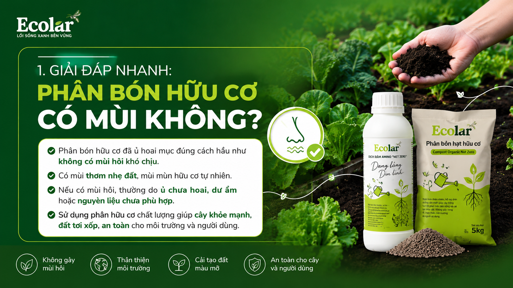 Giải Đáp Nhanh: Phân Bón Hữu Cơ Có Mùi Không?