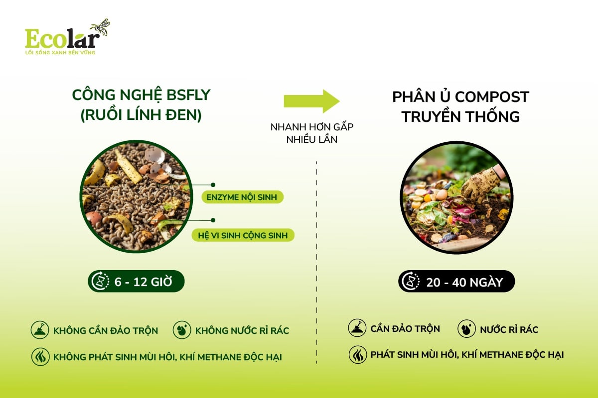 Vì sao BSFly xử lý rác nhanh gấp nhiều lần phương pháp truyền thống?