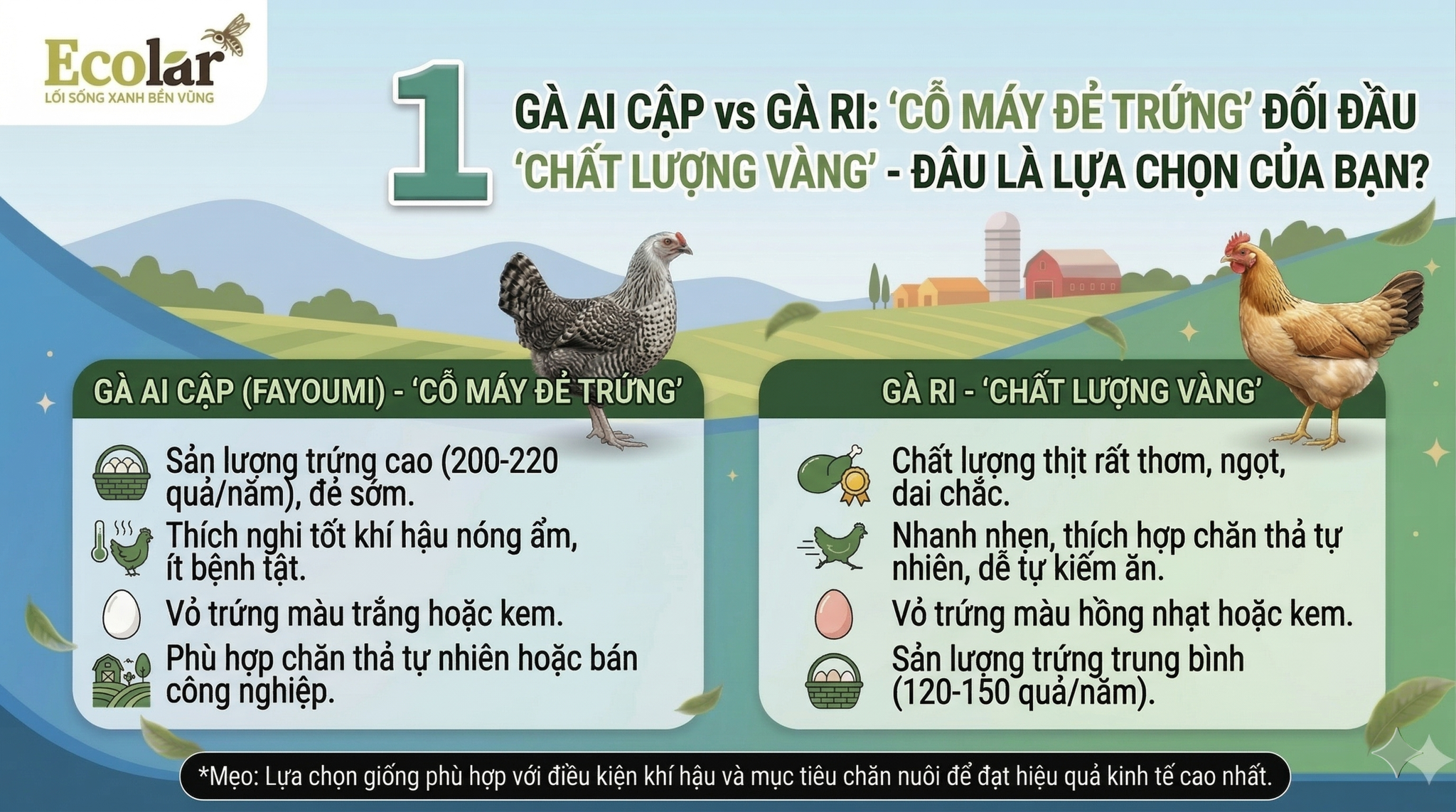 at-luong-vang-dau-la-lua-chon-cua-ban_21f5f4fb9c9c406eae0ffb25ab372cf7.png