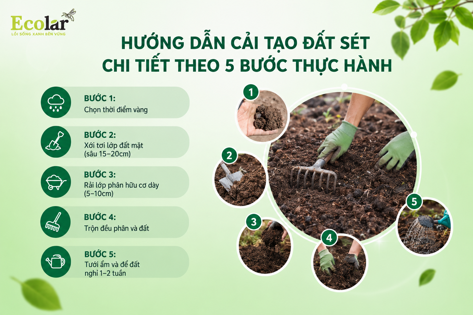 Hướng Dẫn Cải Tạo Đất Sét Chi Tiết Theo 5 Bước Thực Hành