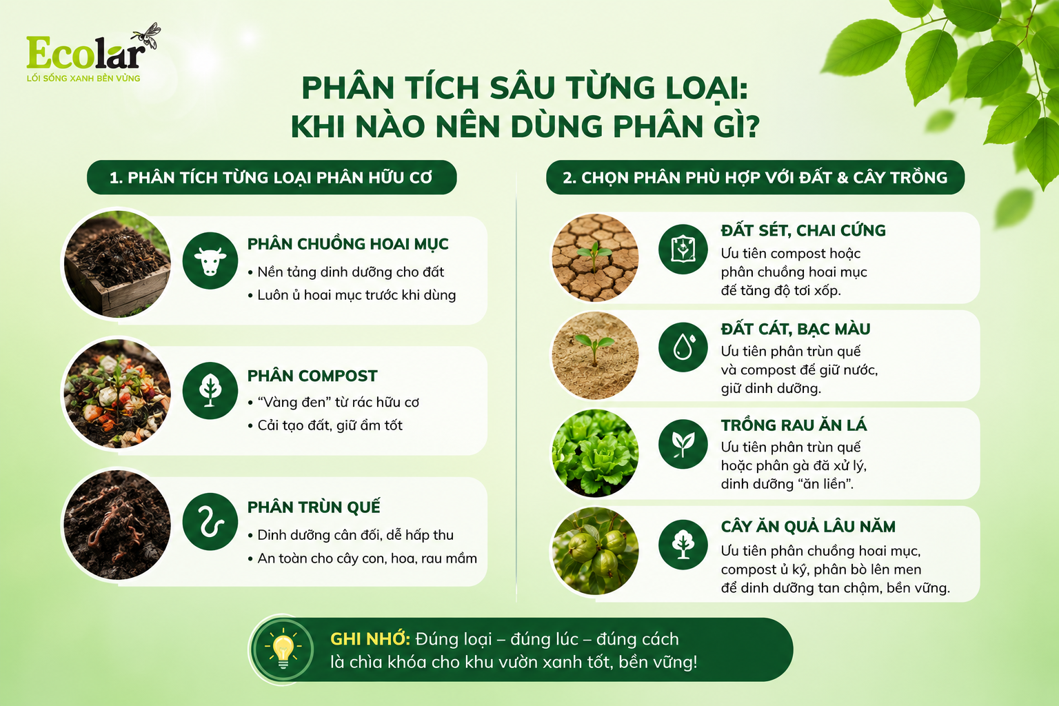 Phân Tích Sâu Từng Loại: Khi Nào Nên Dùng Phân Gì?
