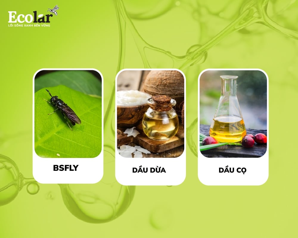 auric-tu-bsfly-va-cac-nguon-khac-nhau