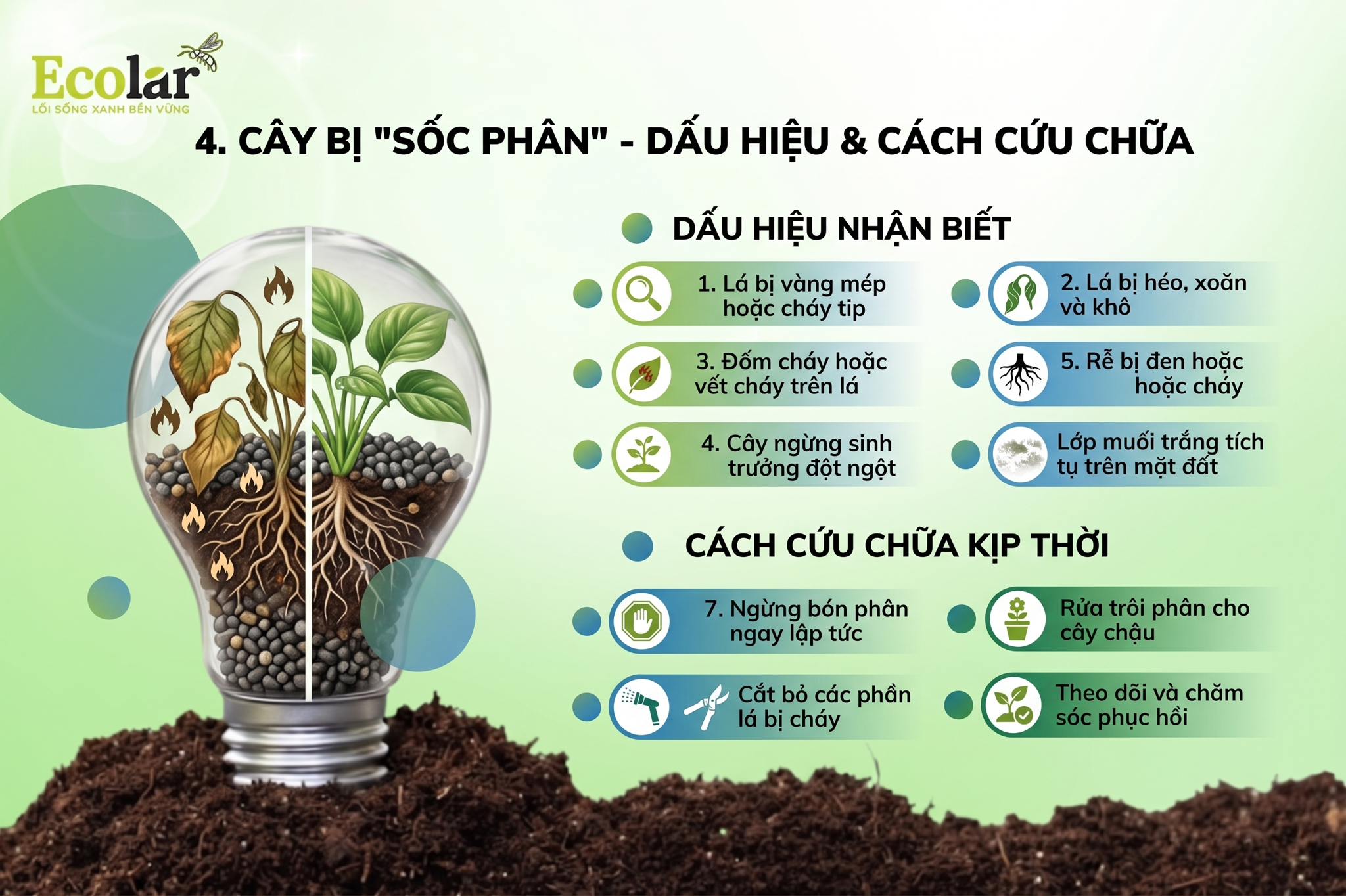 Dấu Hiệu Nhận Biết Cây Bị 'Sốc Phân' & Cách Cứu Chữa Kịp Thời