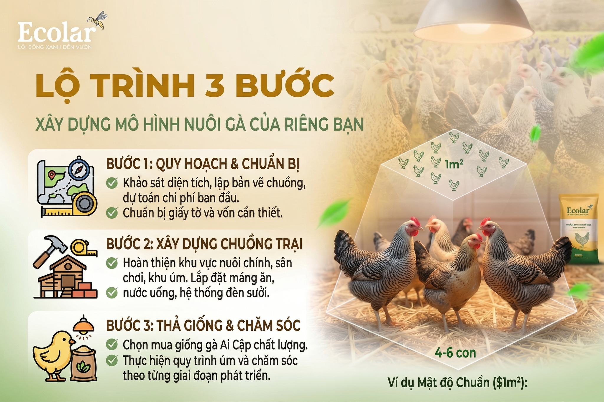Lộ Trình 3 Bước Để Bắt Đầu Xây Dựng Mô Hình Nuôi Gà Của Riêng Bạn