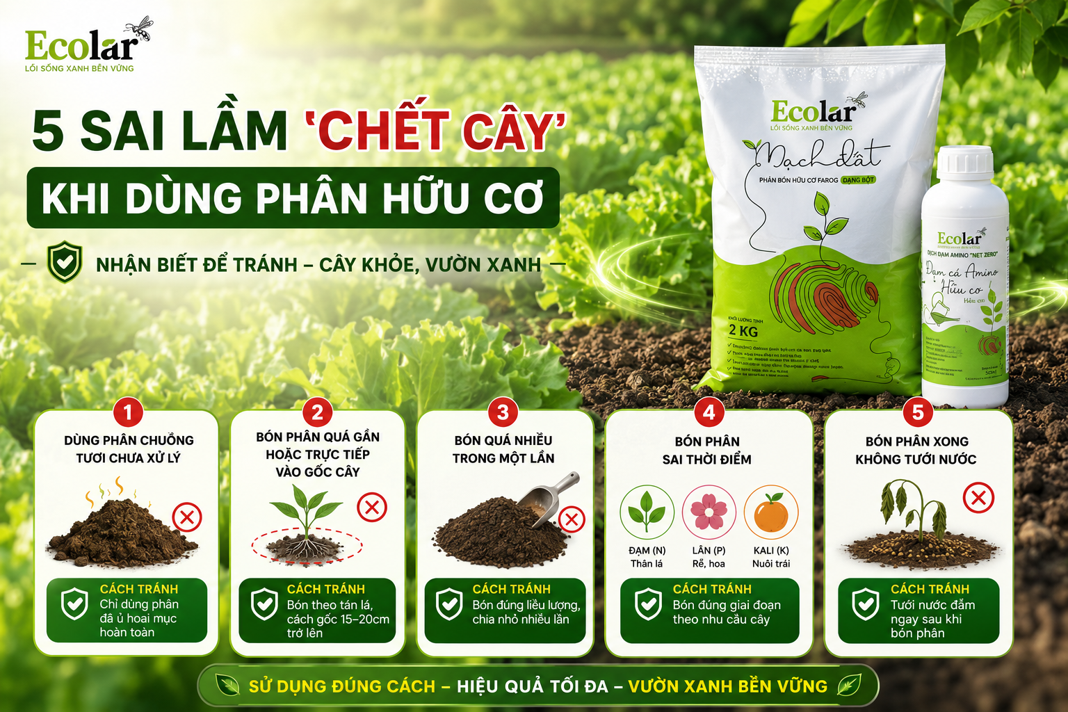 5 Sai Lầm 'Chết Cây' Khi Dùng Phân Hữu Cơ Và Cách Tránh