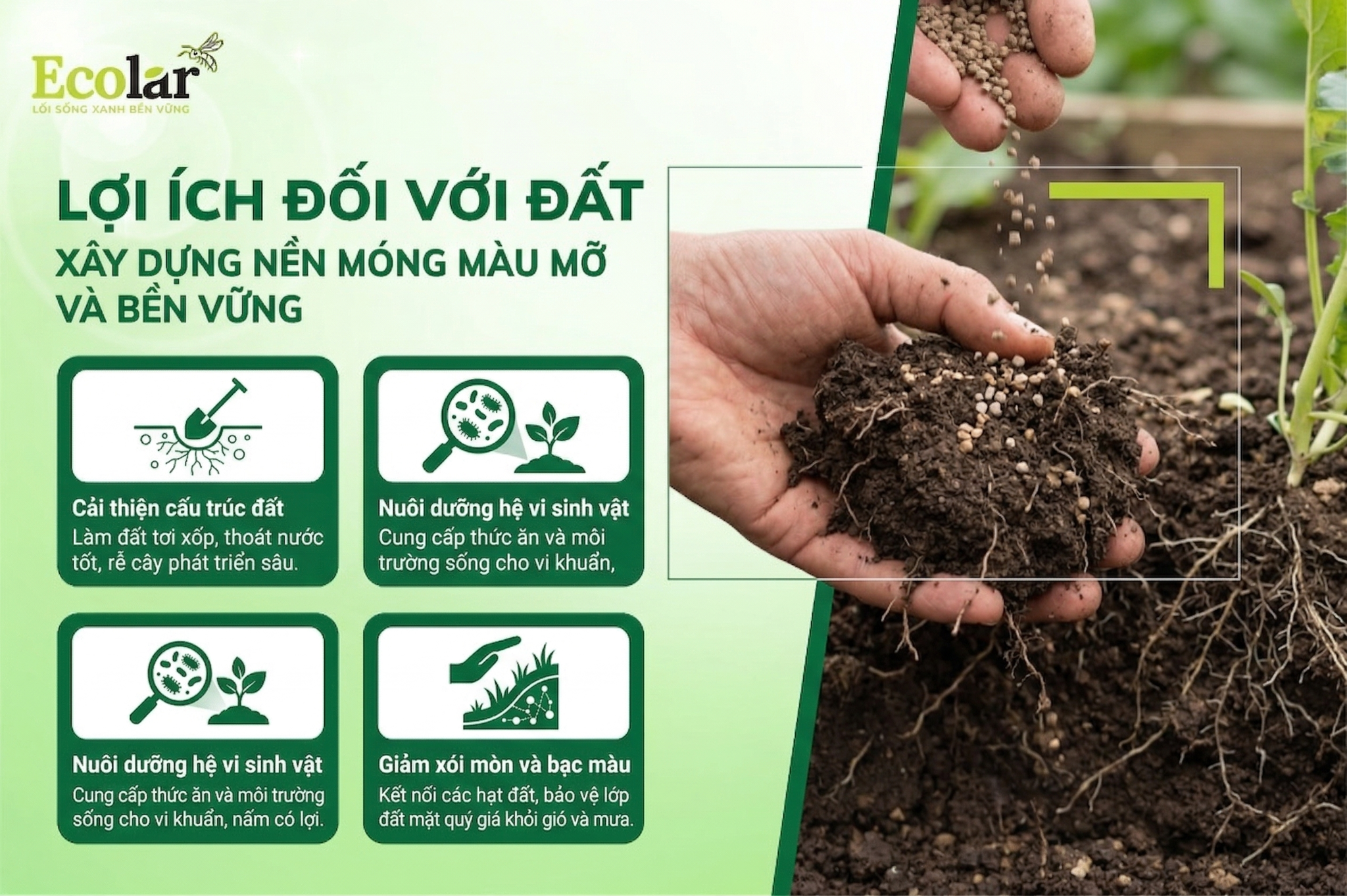 Lợi ích đối với đất - Xây dựng nền móng màu mỡ và bền vững