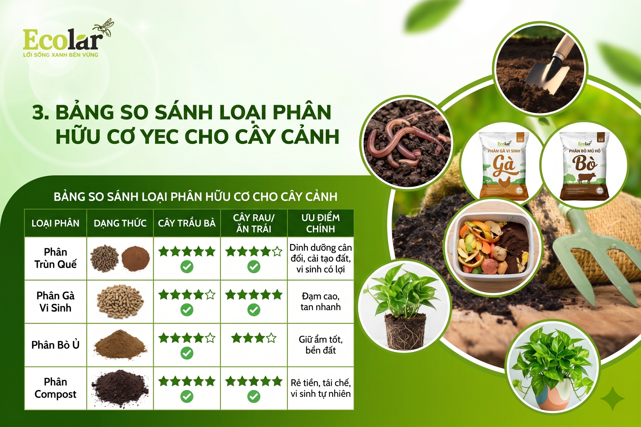 Bảng Tổng Hợp: Giúp Bạn Chọn Nhanh Loại Phân Phù Hợp Nhất