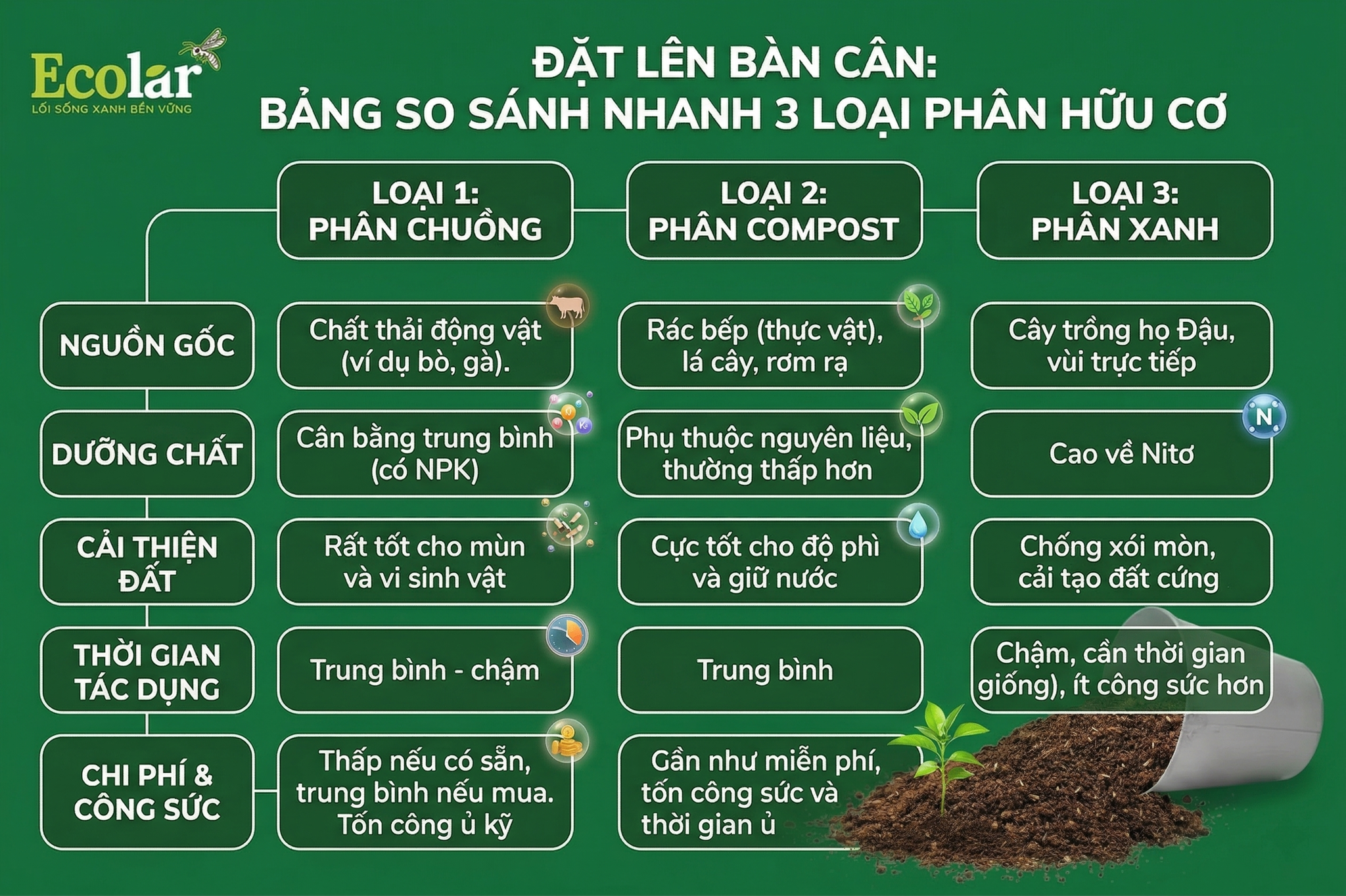 Bảng So Sánh Nhanh 3 Loại Phân Hữu Cơ