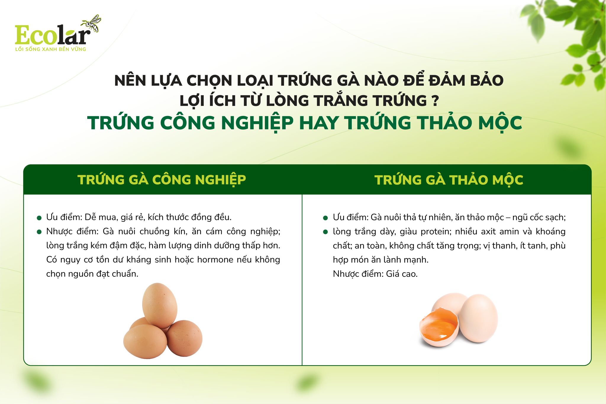 Khác biệt giữa trứng công nghiệp và trứng thảo mộc