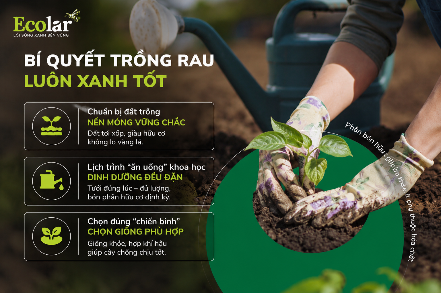 Phòng Bệnh Hơn Chữa Bệnh: Bí Quyết Trồng Rau Luôn Xanh Tốt