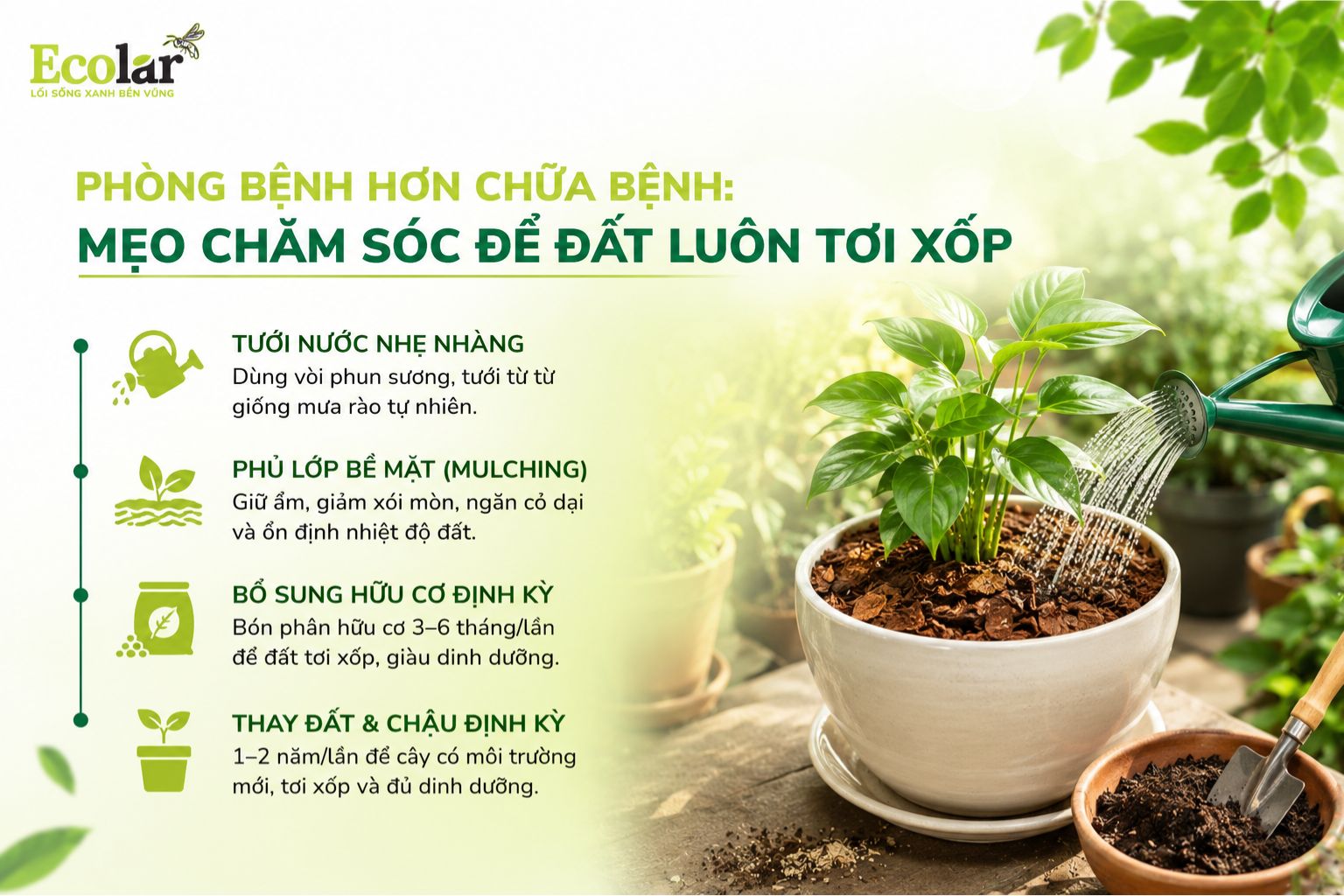 Phòng Bệnh Hơn Chữa Bệnh: Mẹo Chăm Sóc Để Đất Luôn Tơi Xốp