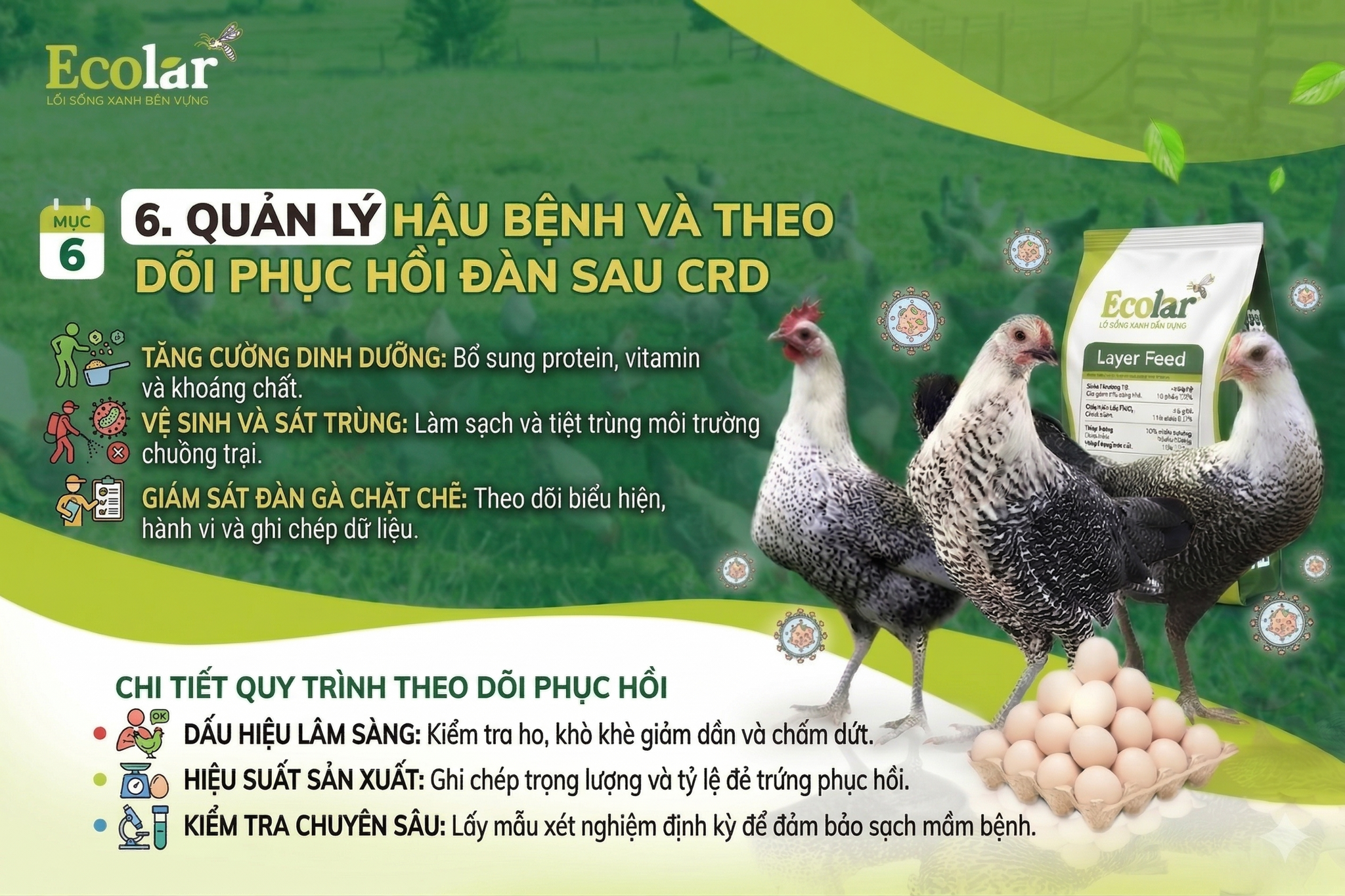 benh-va-theo-doi-phuc-hoi-dan-sau-crd_833dedd64ae646b5b51d2f6a71290637.png