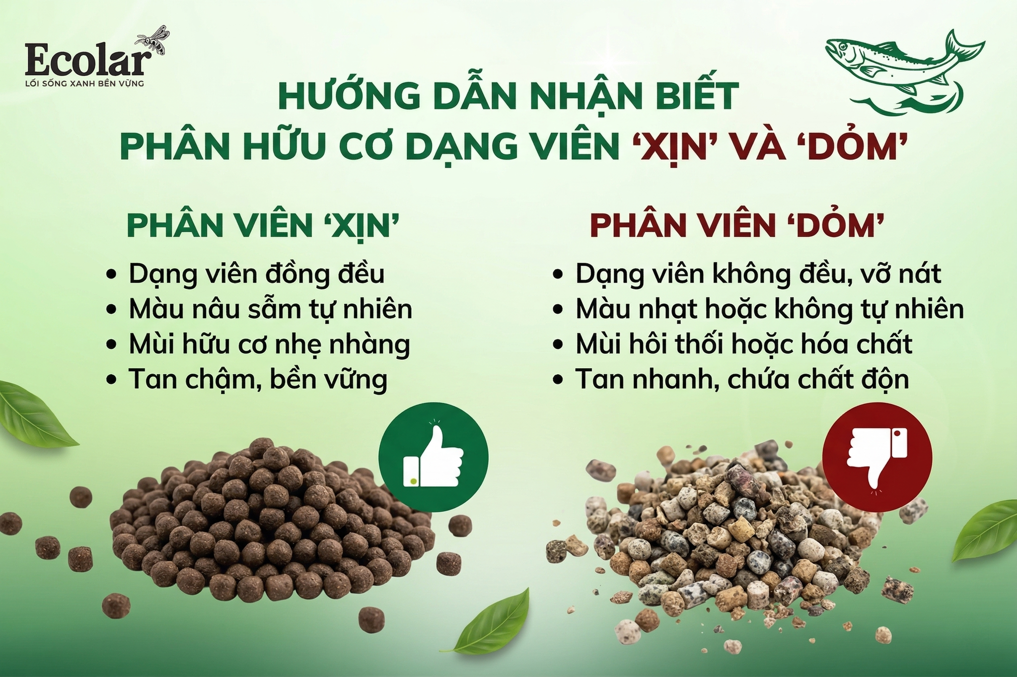 Hướng Dẫn Nhận Biết Phân Hữu Cơ Dạng Viên 'Xịn' và 'Dỏm'