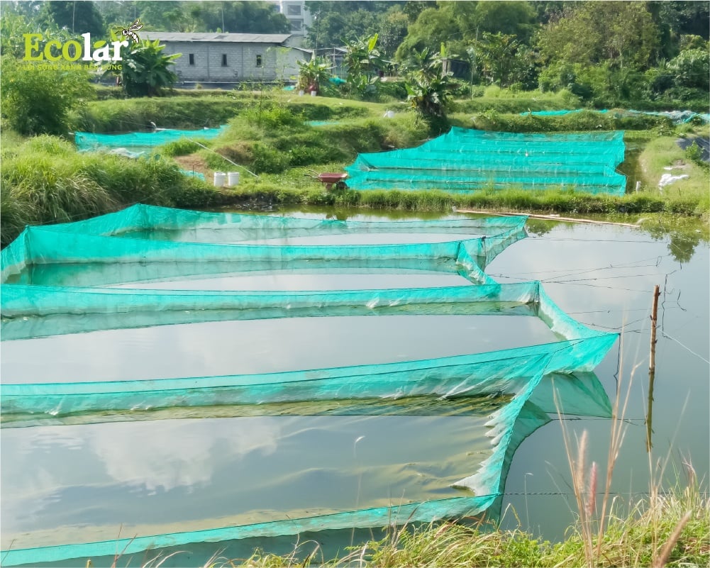 Bổ sung các nhóm vitamin cần thiết