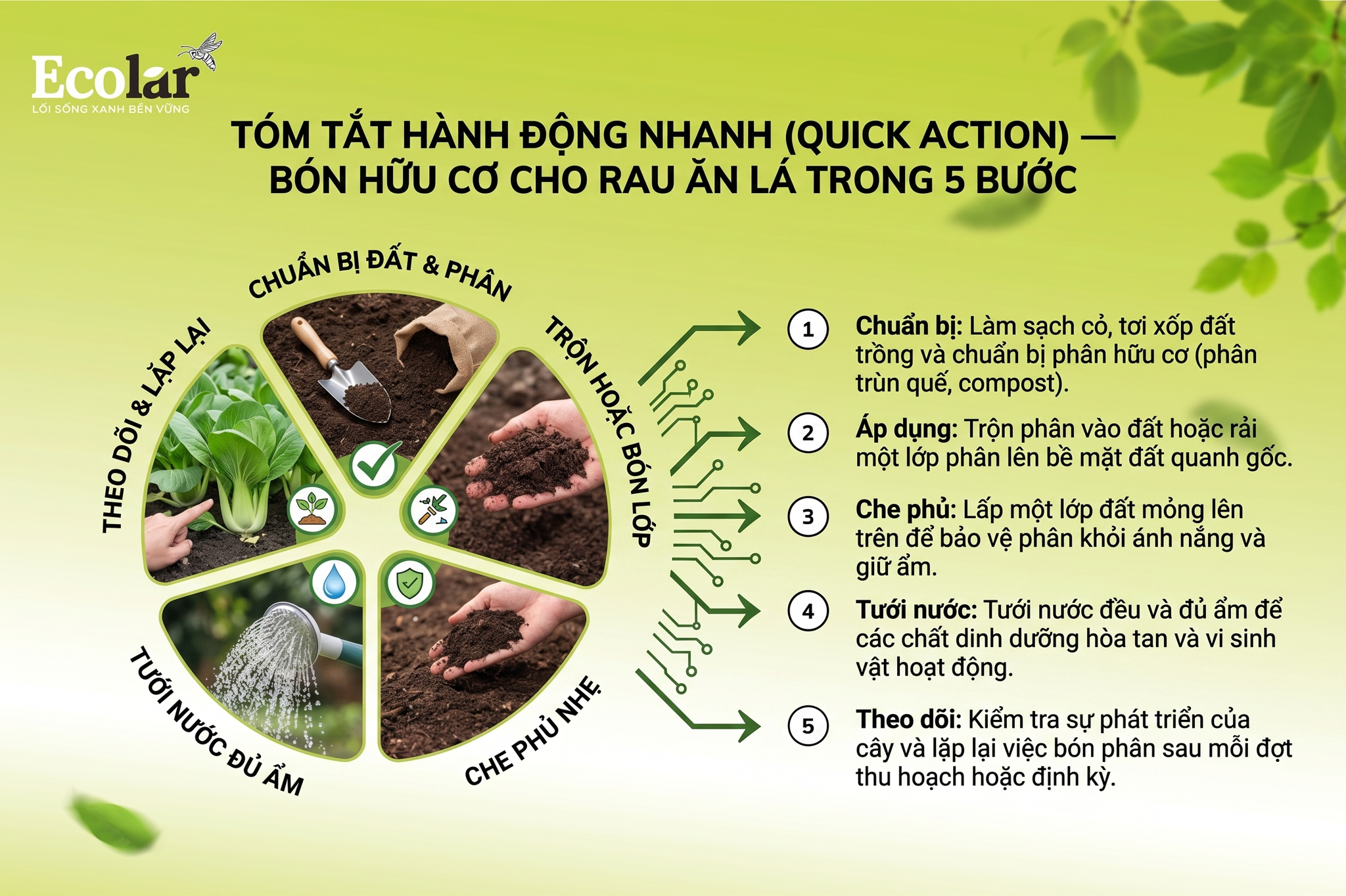 Tóm tắt hành động nhanh (Quick Action) — Bón hữu cơ cho rau ăn lá trong 5 bước