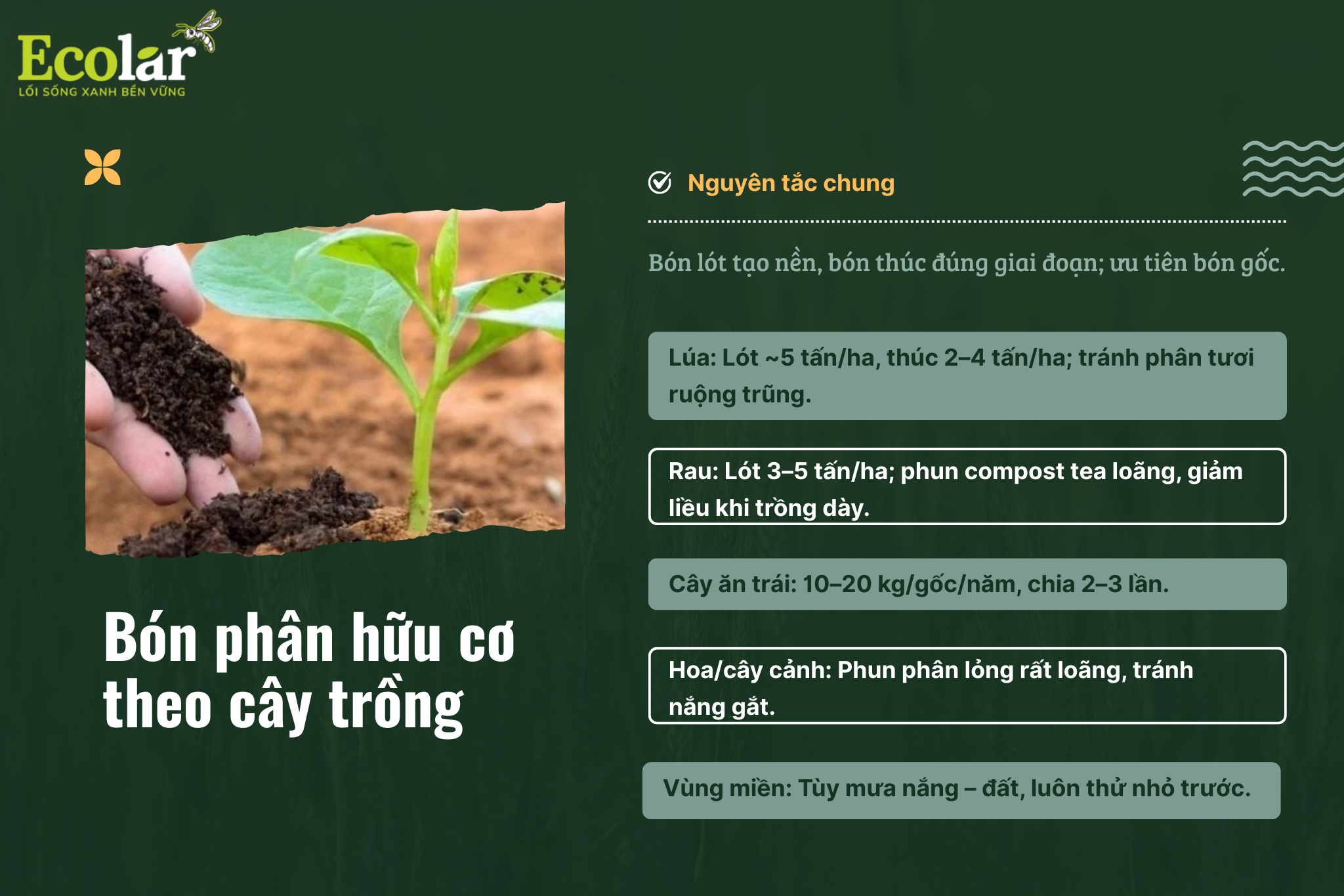 bon phan huu co theo cay trong b7ec01e507a34445a91fe4a70d03e39d Bao Bì Ánh Sáng - Chuyên Gia Bao Bì PP Dệt