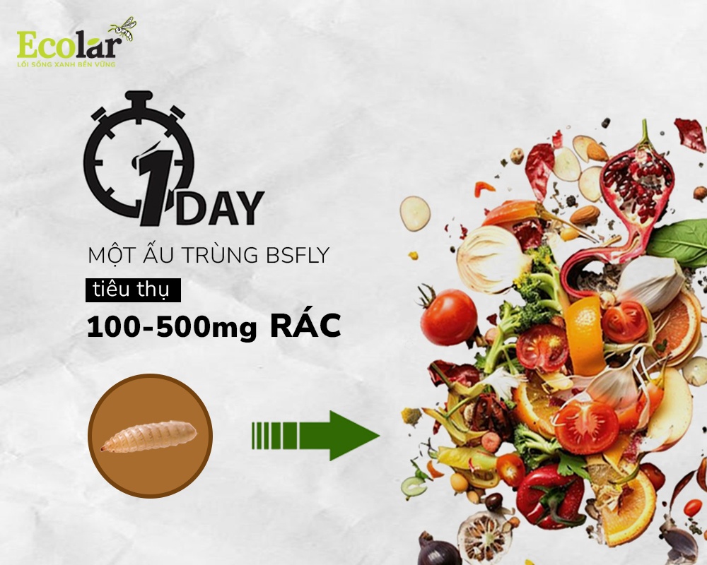 BSFly-co-may-sinh-hoc-la-ai