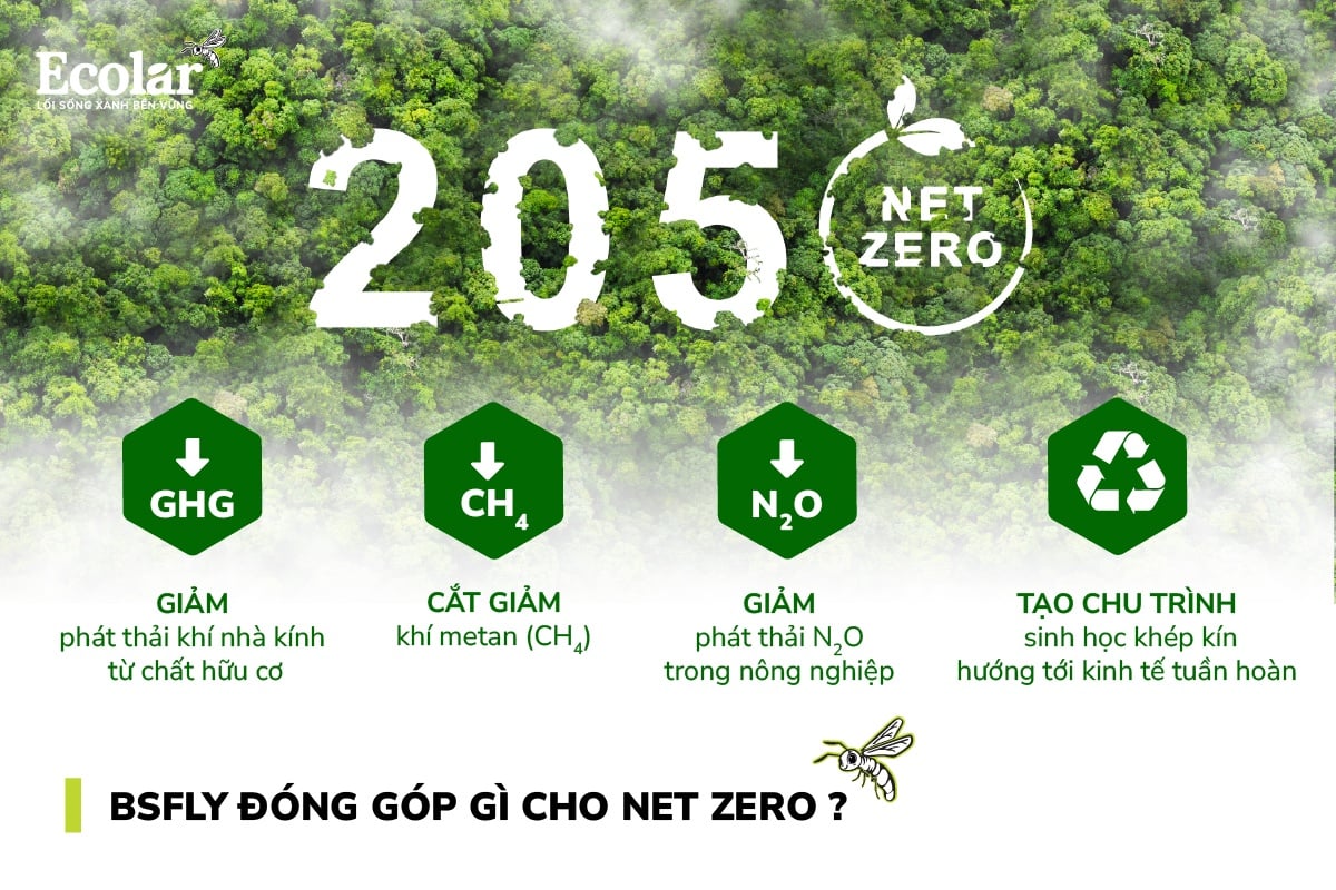 BSFly đóng góp gì cho Net Zero?