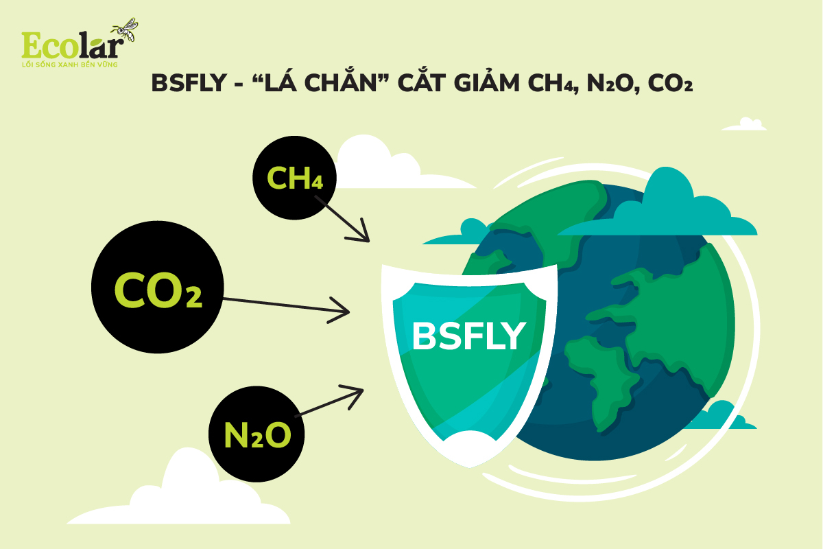 BSFly - “Lá chắn” cắt giảm CH₄, N₂O, CO₂
