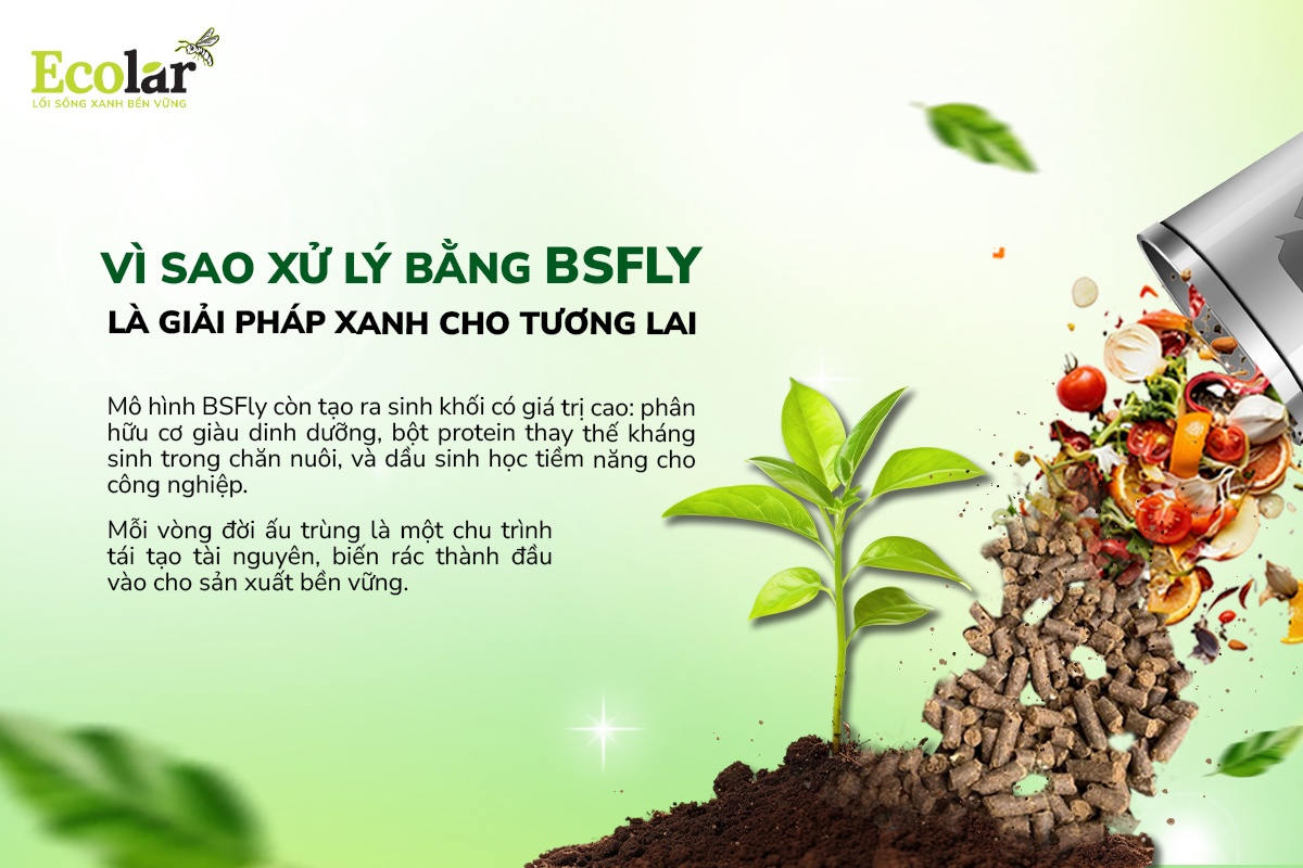 Vì sao xử lý bằng BSFly là giải pháp xanh cho tương lai