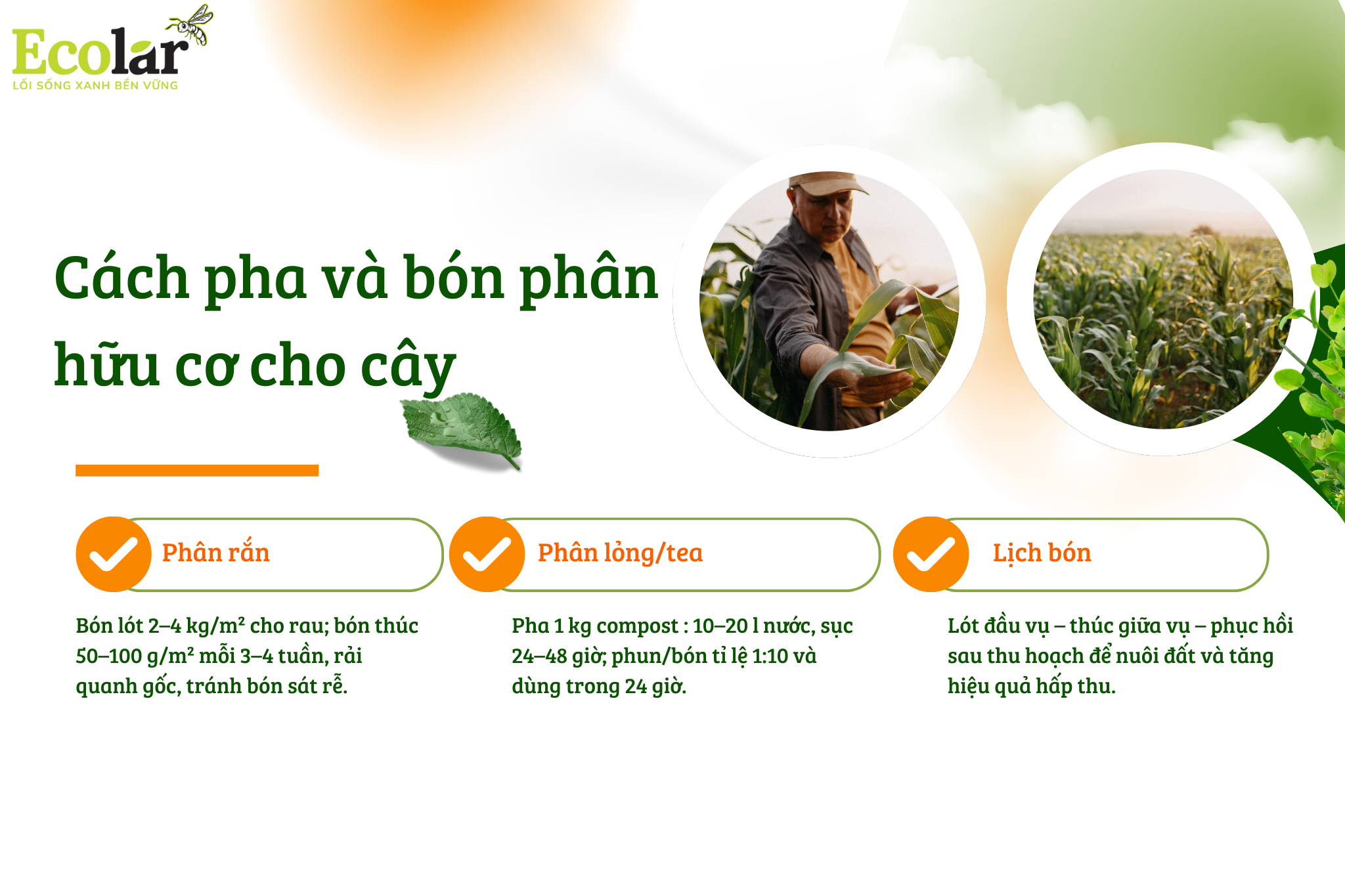 buoc 9 825c0cd9003a401e9f4ab2112c81ed7d Bao Bì Ánh Sáng - Chuyên Gia Bao Bì PP Dệt