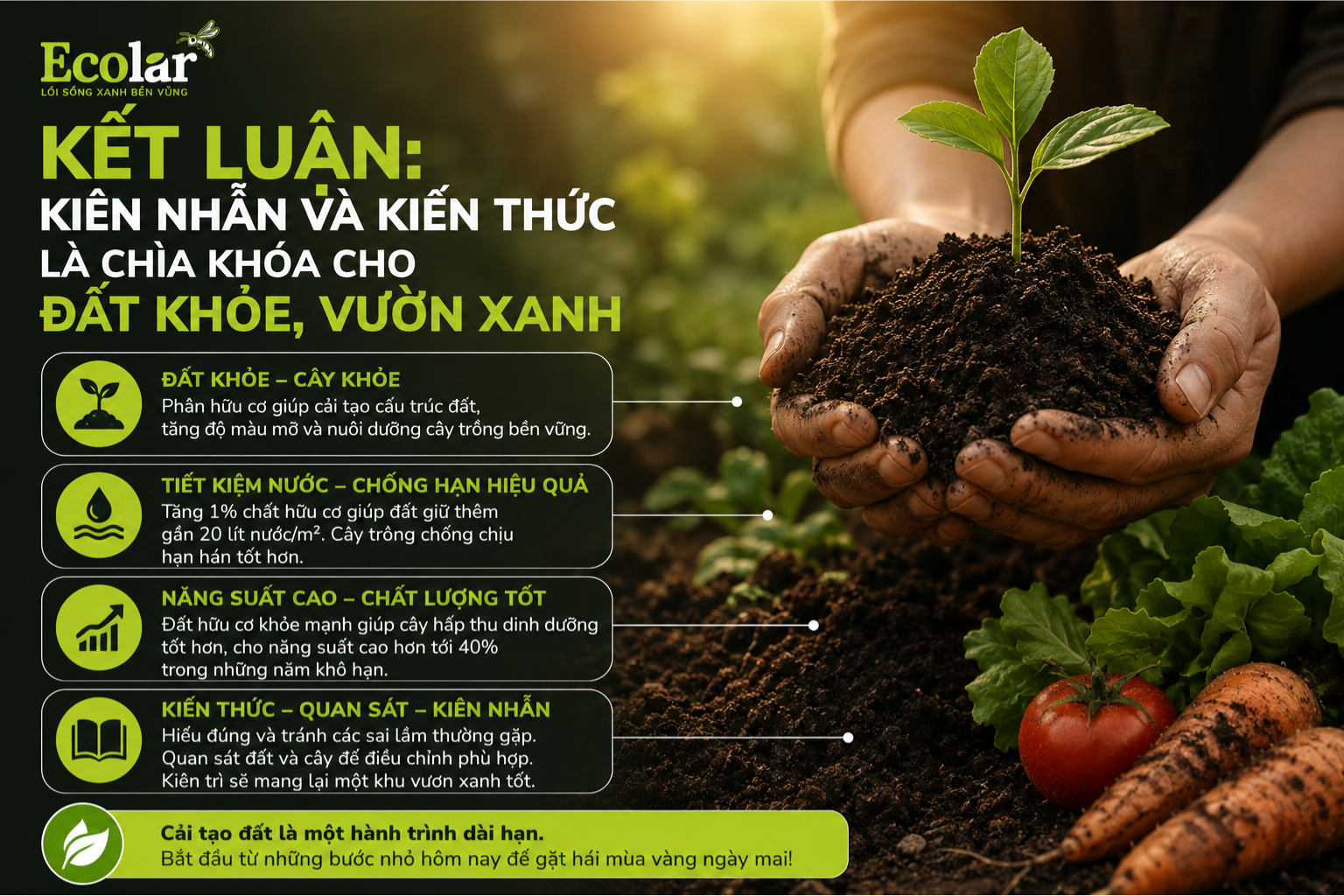 Kết Luận: Kiên Nhẫn và Kiến Thức Là Chìa Khóa Cho Đất Khỏe, Vườn Xanh