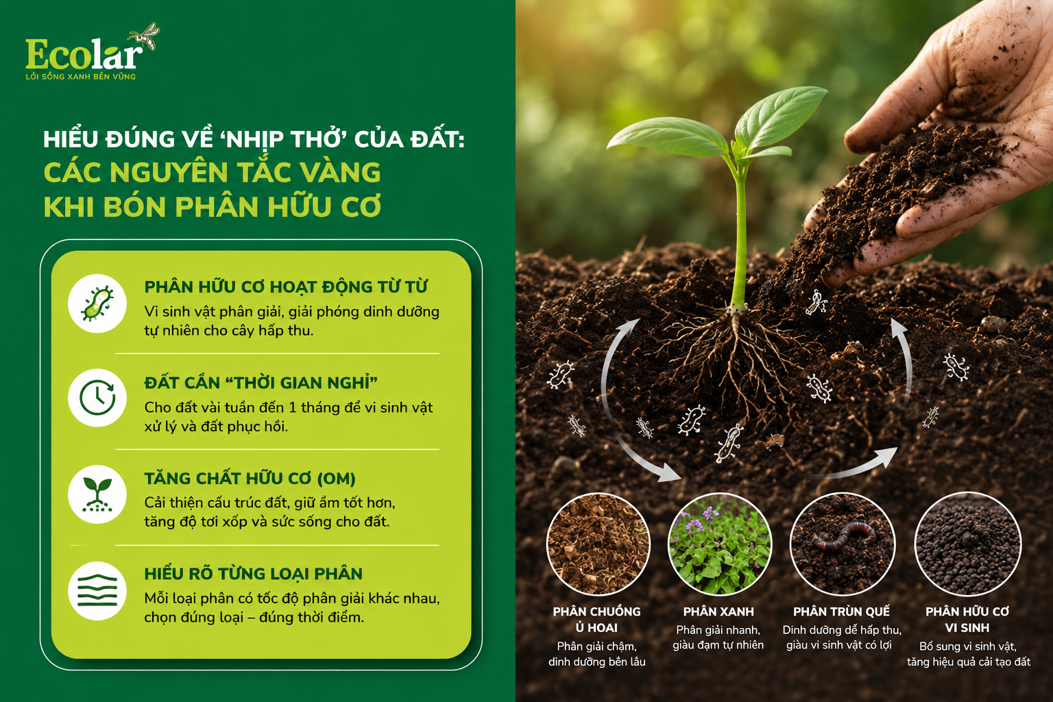 Hiểu Đúng Về 'Nhịp Thở' Của Đất: Các Nguyên Tắc Vàng Khi Bón Phân Hữu Cơ