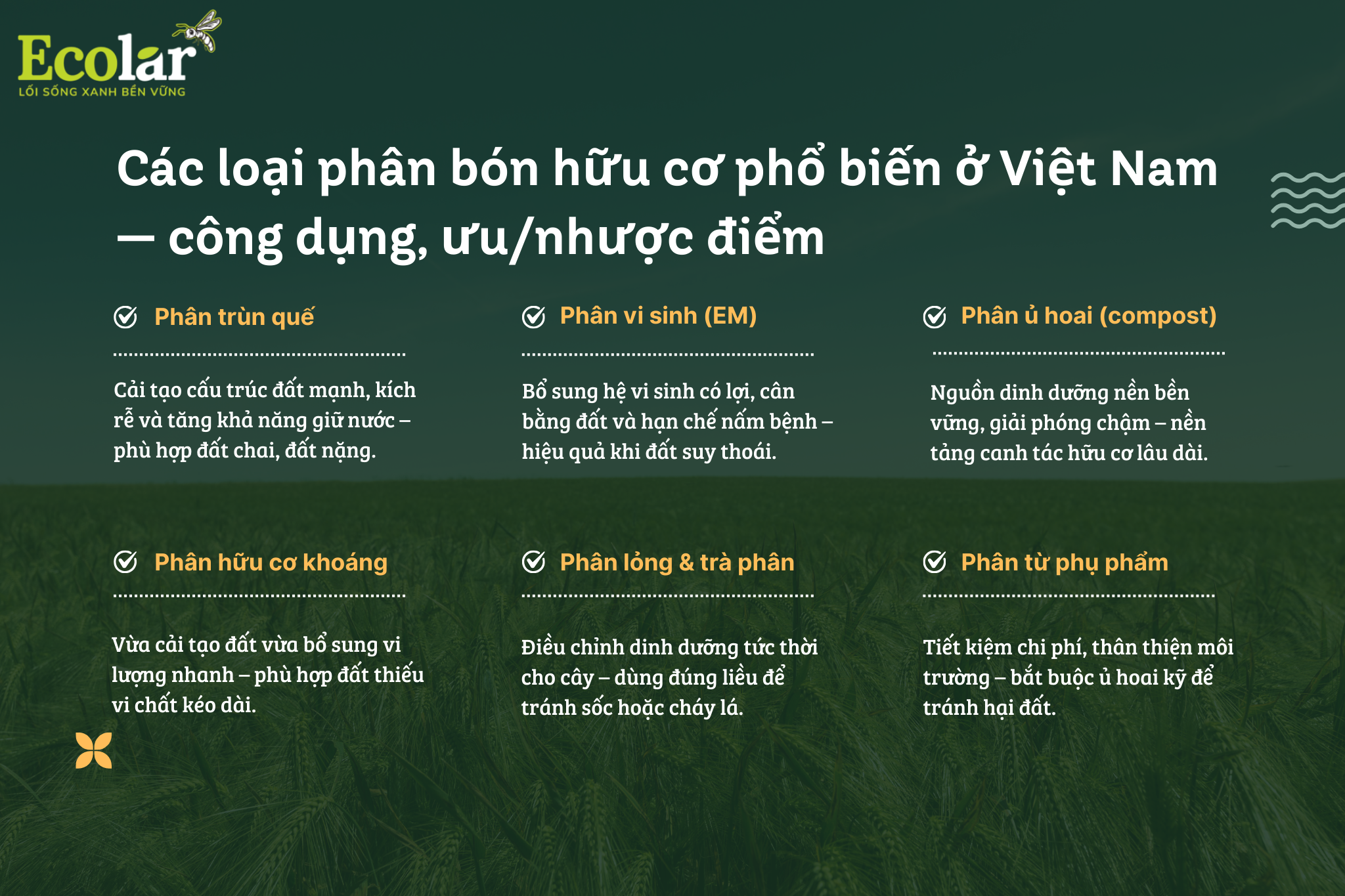 cac loai phan bon 29b6ddfffd344231bd209fb12eede6ca Bao Bì Ánh Sáng - Chuyên Gia Bao Bì PP Dệt