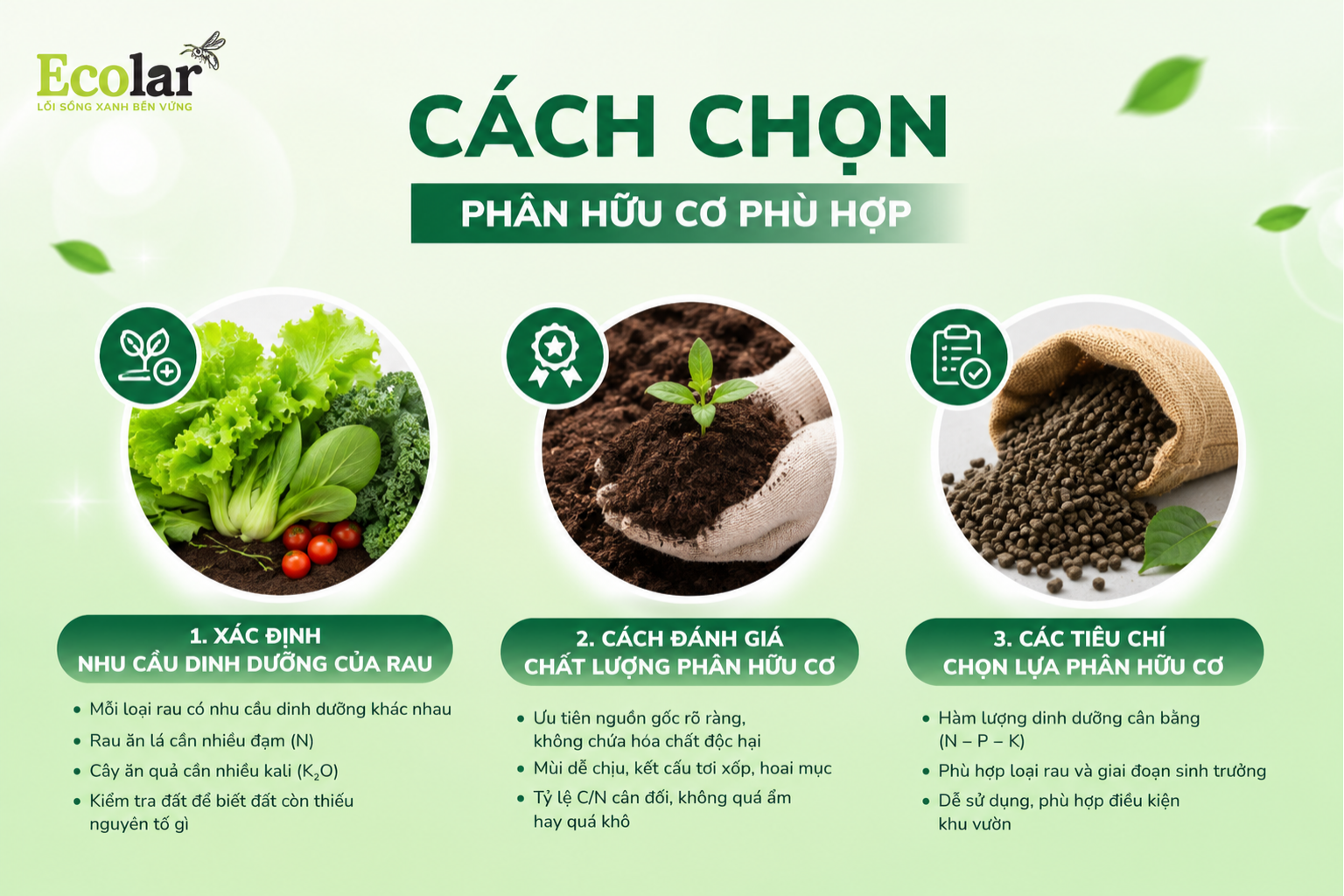 Cách Chọn Phân Hữu Cơ Phù Hợp