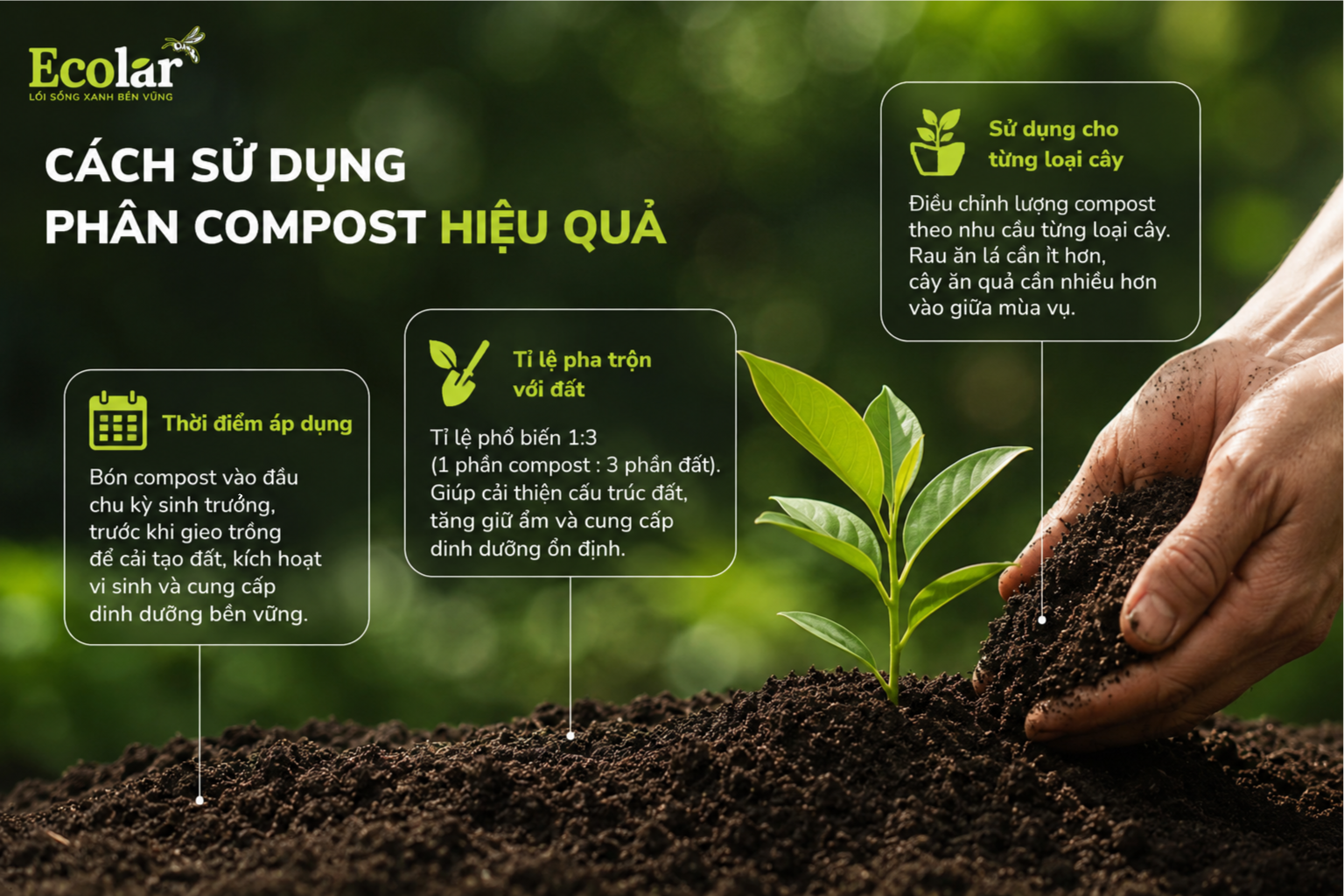 Cách sử dụng phân compost hiệu quả
